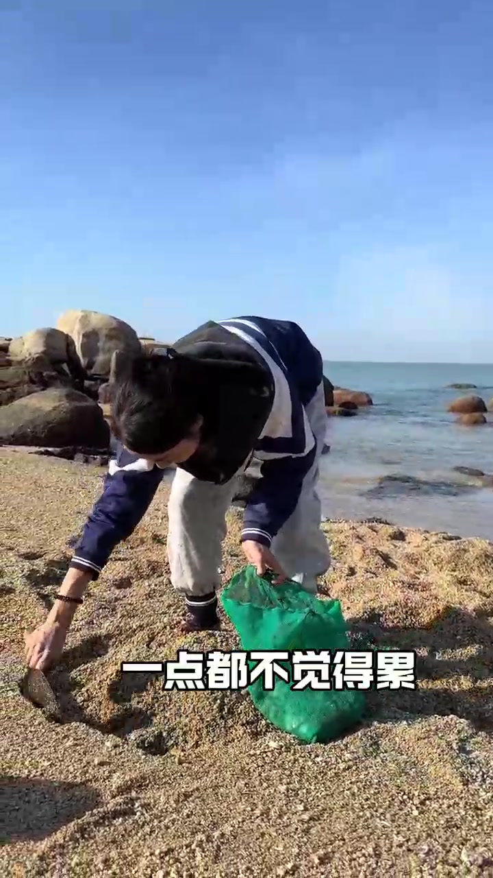 闲不住的老妈,原来遮浪野生紫菜这样弄的!闲不住的老妈,原来遮浪野生紫菜这样弄的!