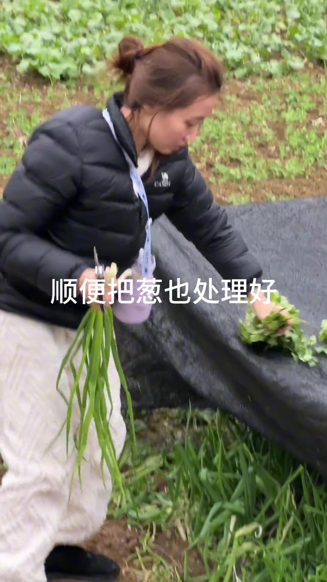 火锅底料来咯哈哈哈哈哈哈哈