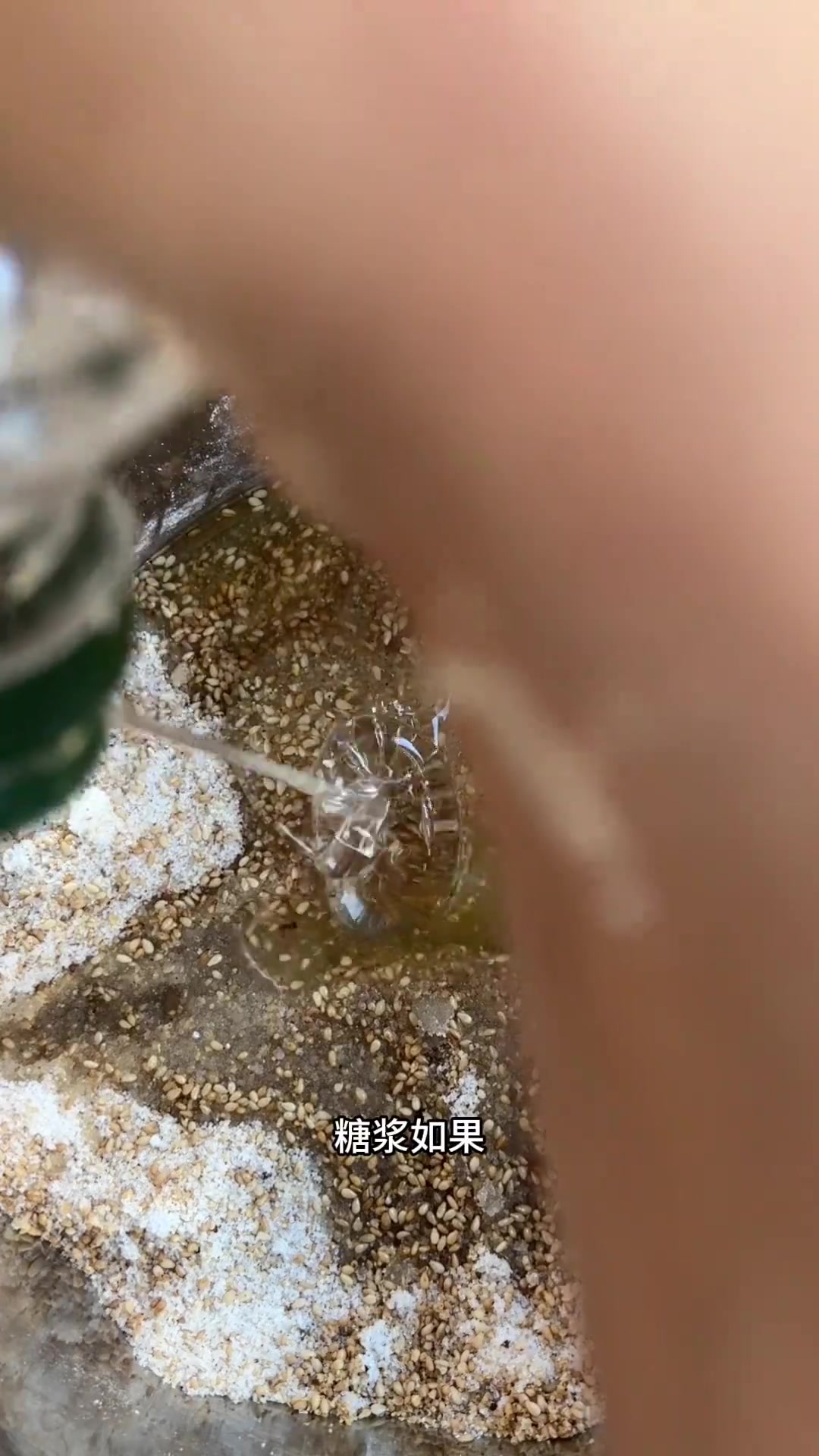 天津老味牛舌饼,八件点心盒必备点心