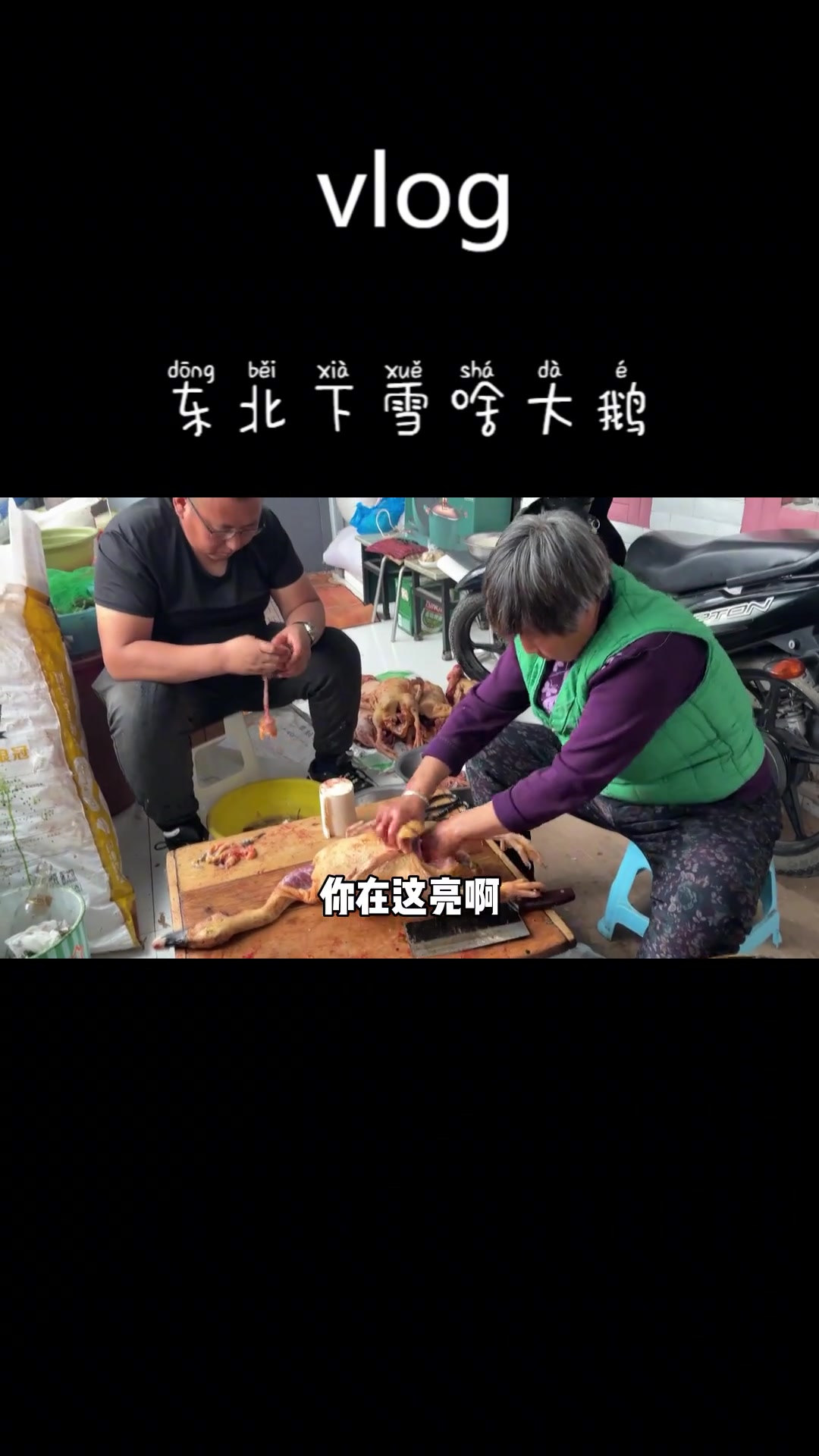 东北农村下雪杀大鹅,好像屯里妇女大聚会,飞阳馋的回不来