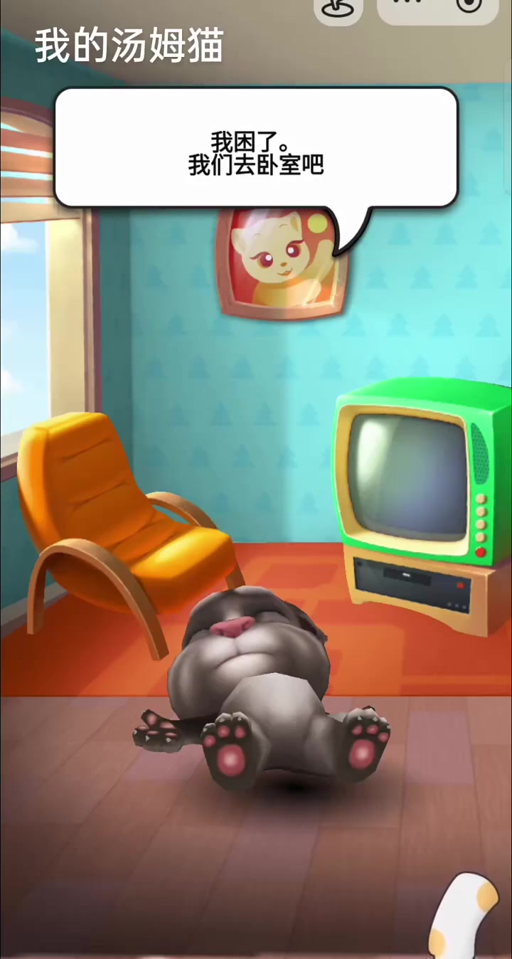 来和可爱的汤姆猫一起玩耍