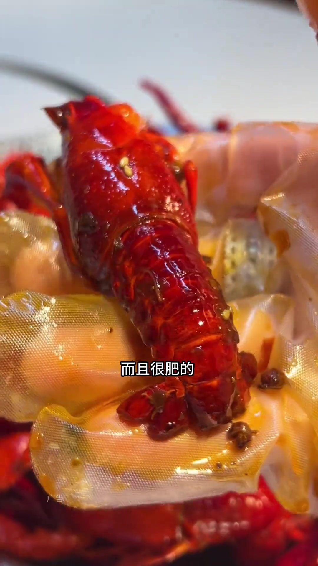 松江开了十几年的老牌龙虾店!罗氏虾比小龙虾很好吃?各个大只!