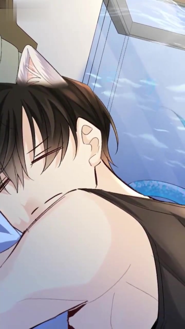 波波鱼好宠白狮