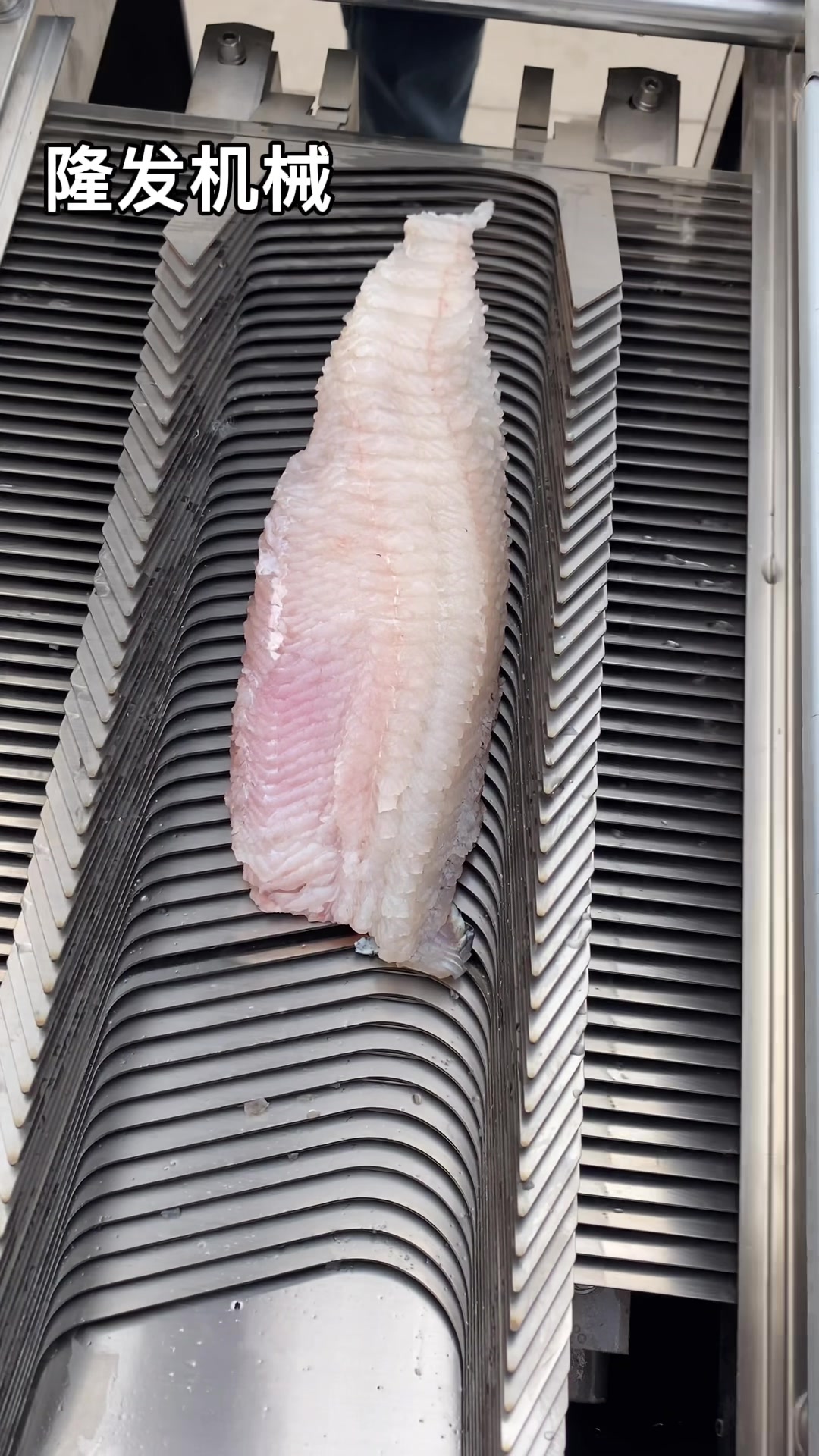 全自动斜切鱼片机肉片机