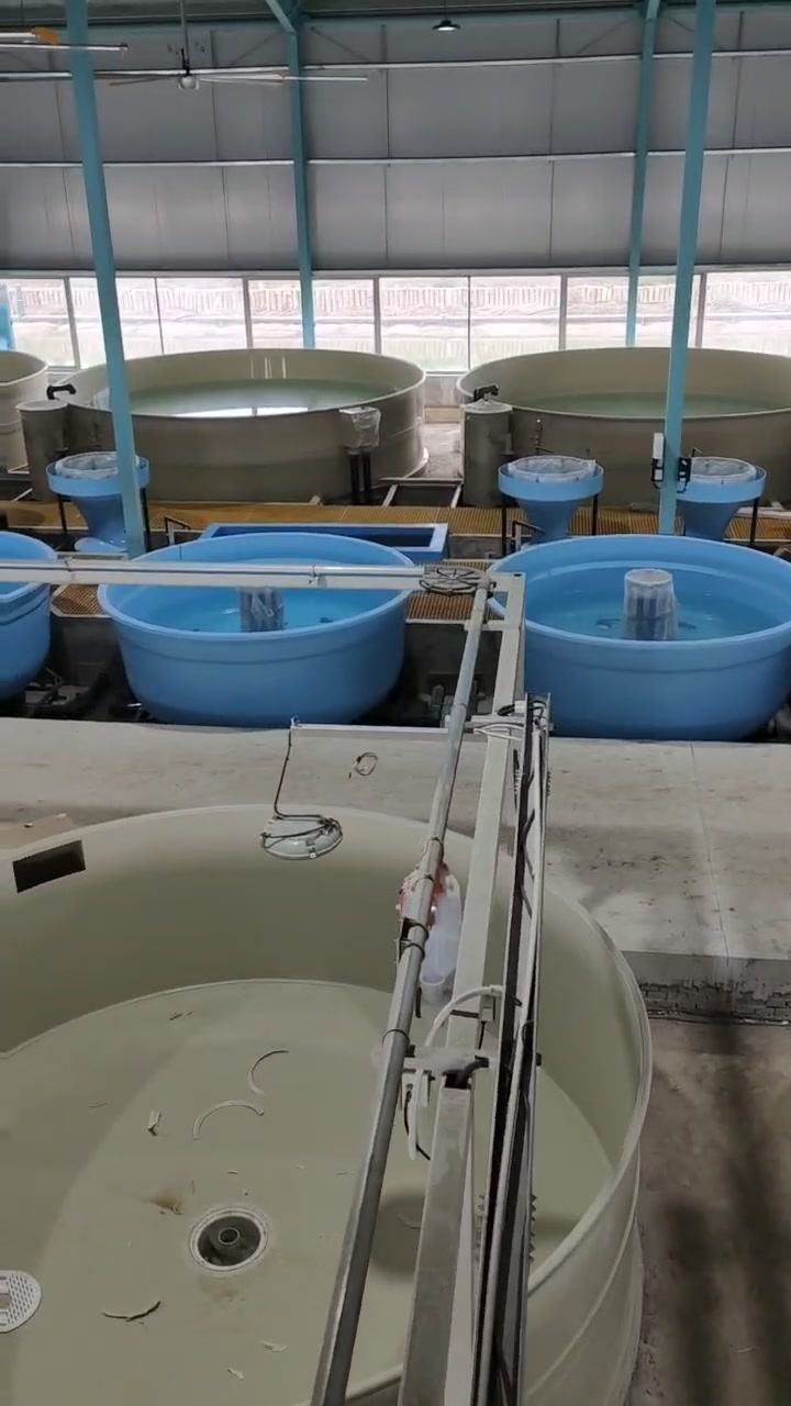 一体成型玻璃钢养殖鱼盆 使用时间长 适合多种水质