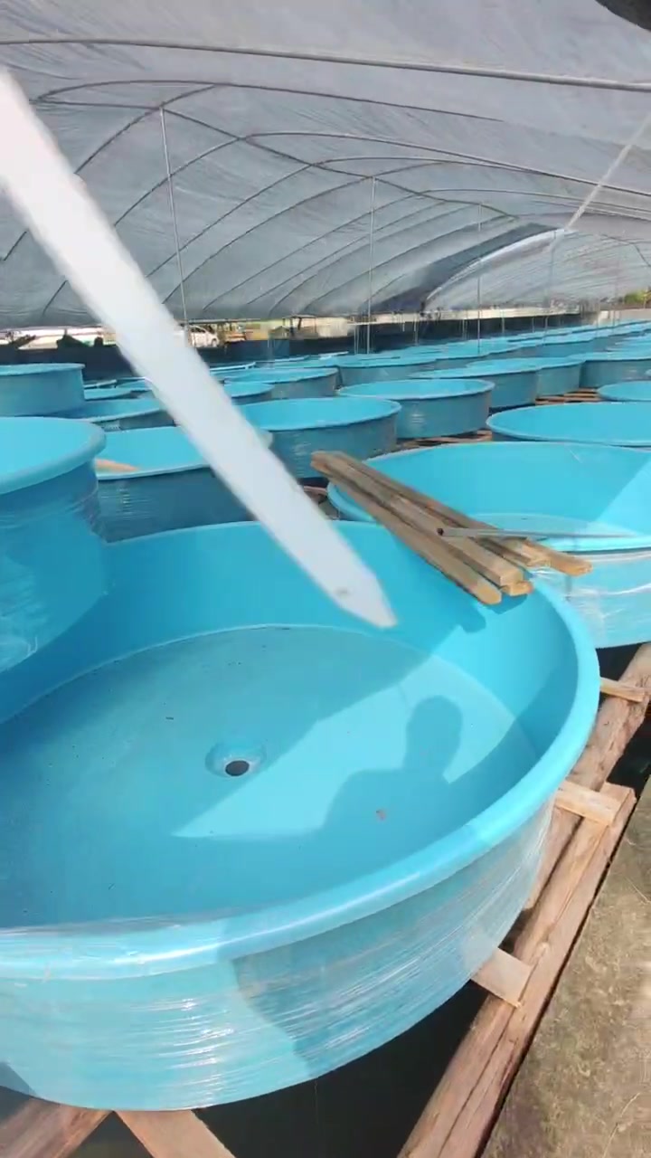 玻璃钢鱼池 一体成型养殖鱼盆 使用时间长