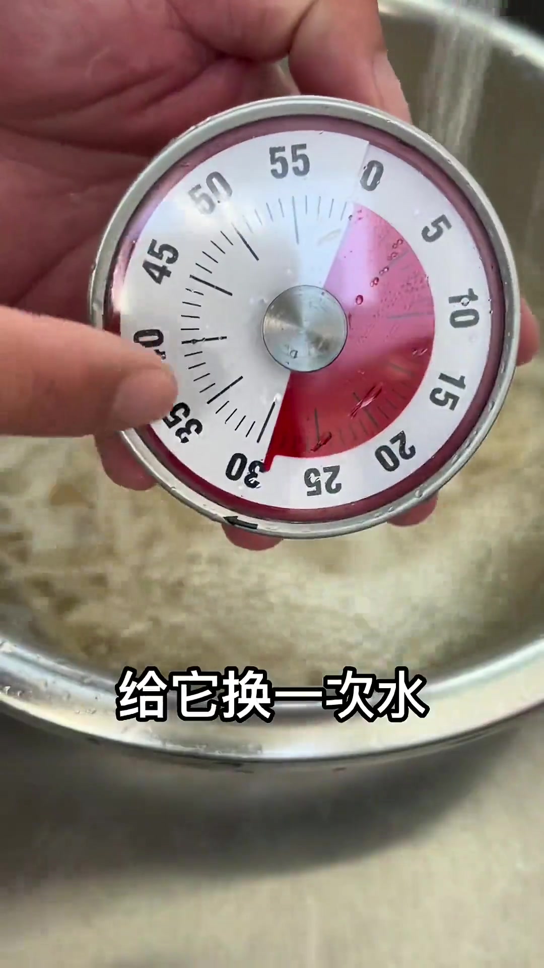大鱼大肉吃腻了?试试表哥做的白菜心拌海蜇皮