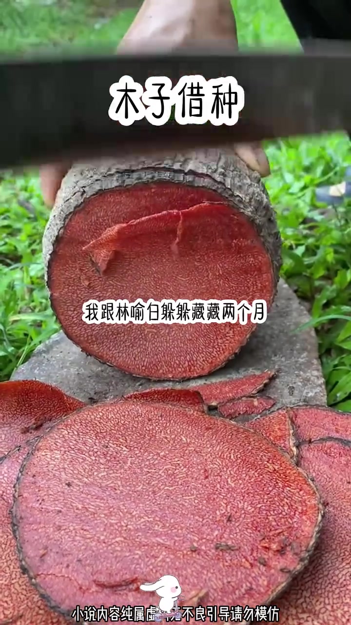 《木孑 借种》点击视频左下角观看后续!