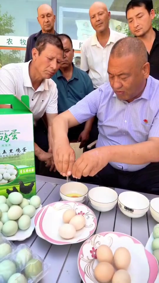 我养的鸡和鸡蛋,看看两者之间的不同之处