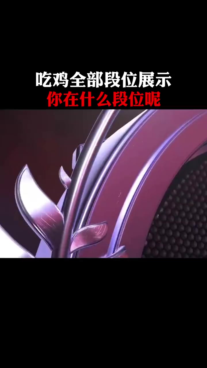 你的最高段位是什么呢?