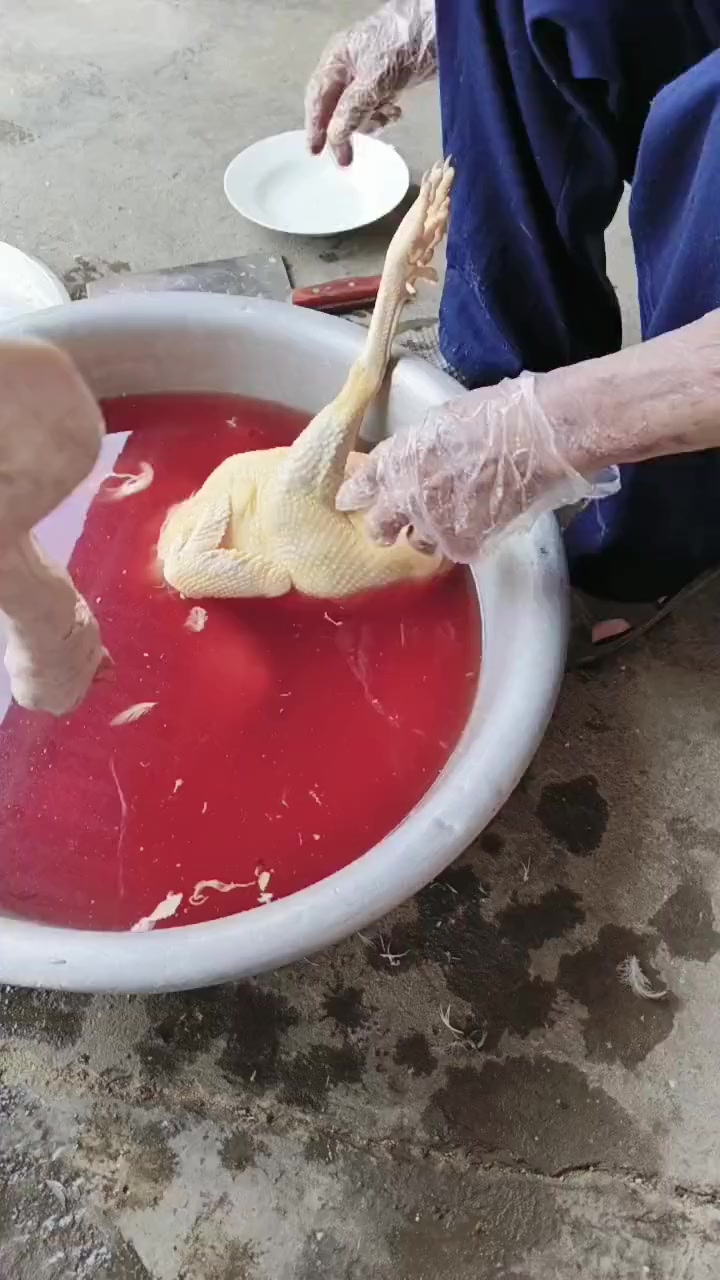 今天杀鸡杀鸭,大家过来和我一起吃饭,记得带酒过来,咱们喝两杯哦