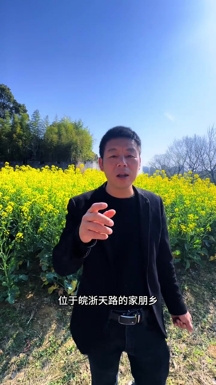 皖南川藏线周边三个赏油菜花的地方已整理好,都去过的说说哪个更美