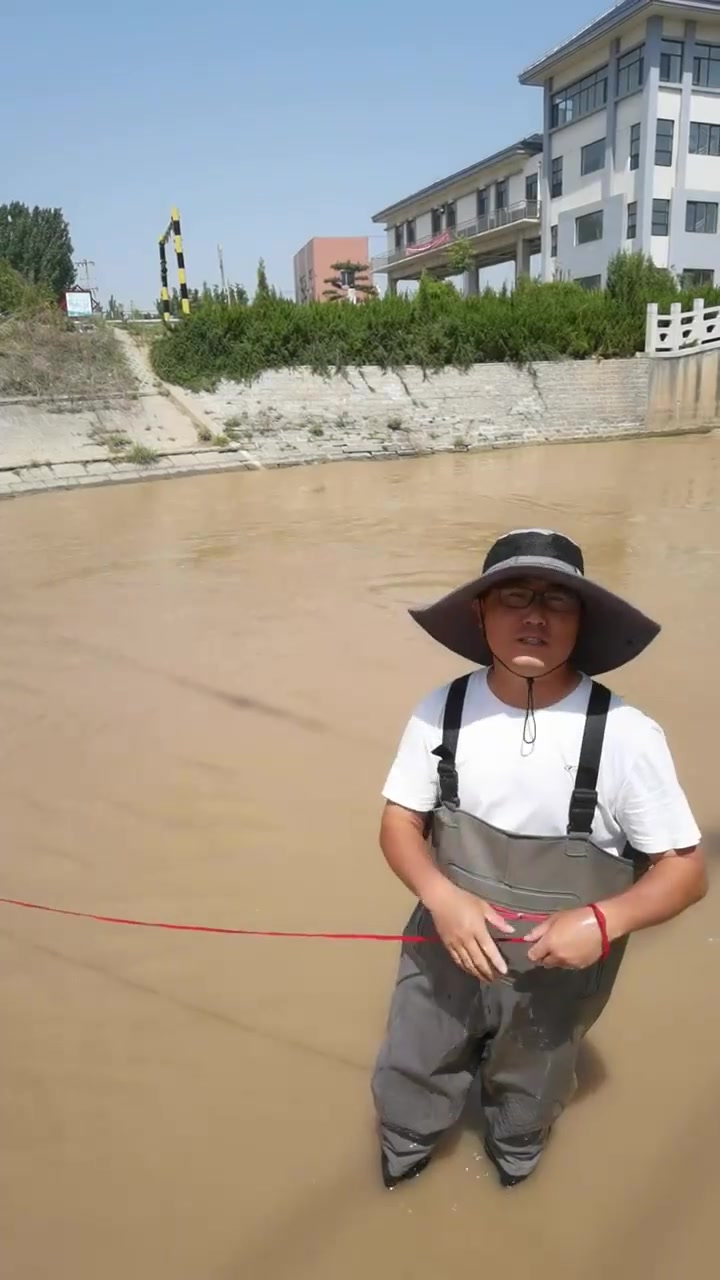 黄河开闸放水,刀鱼群顶流乱窜,小伙一网打中!黄河刀鱼6000一斤,这网能值,发财了