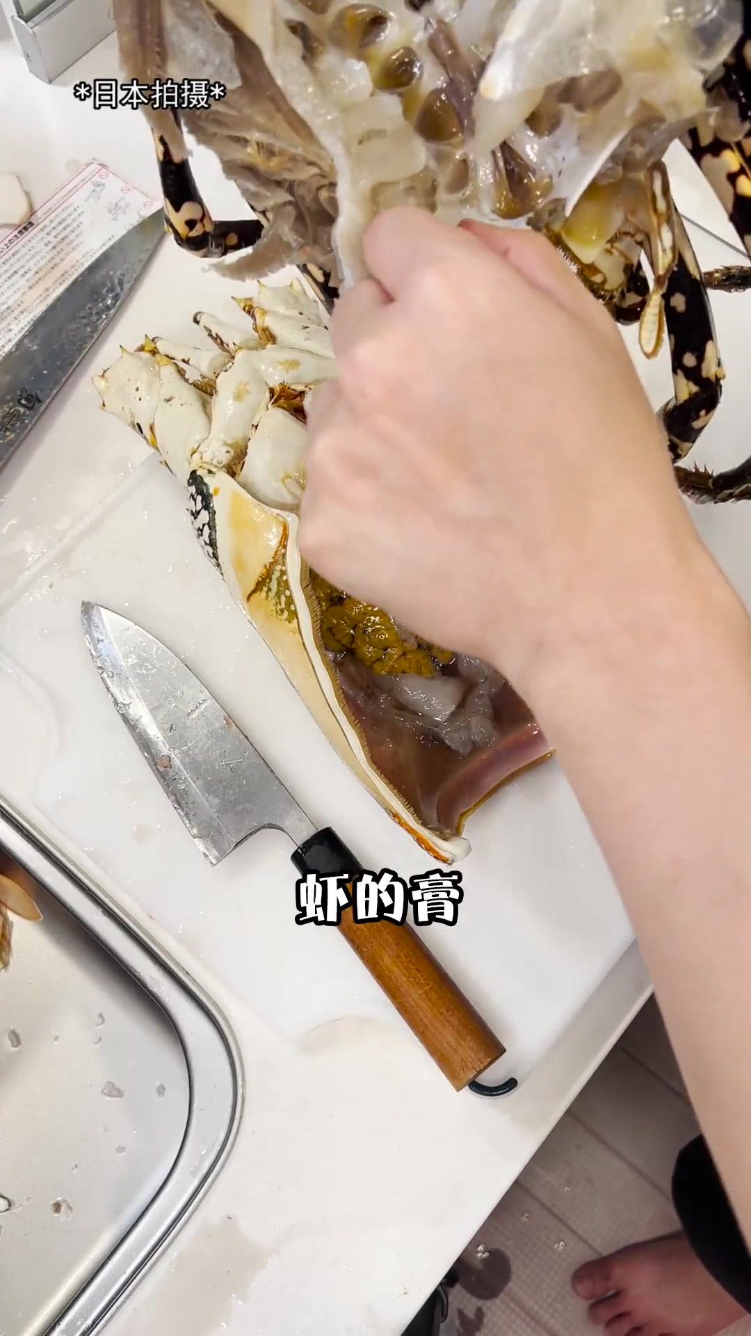 巨型龙虾!光虾尾肉就超过了两斤!