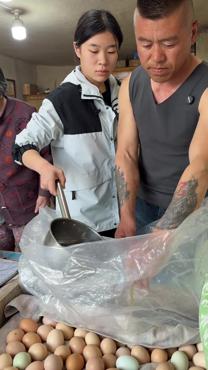 做大酱的第六天,奶奶说大酱让狗吓着了,孵鸡蛋做彩超,小鸡已经做胎了