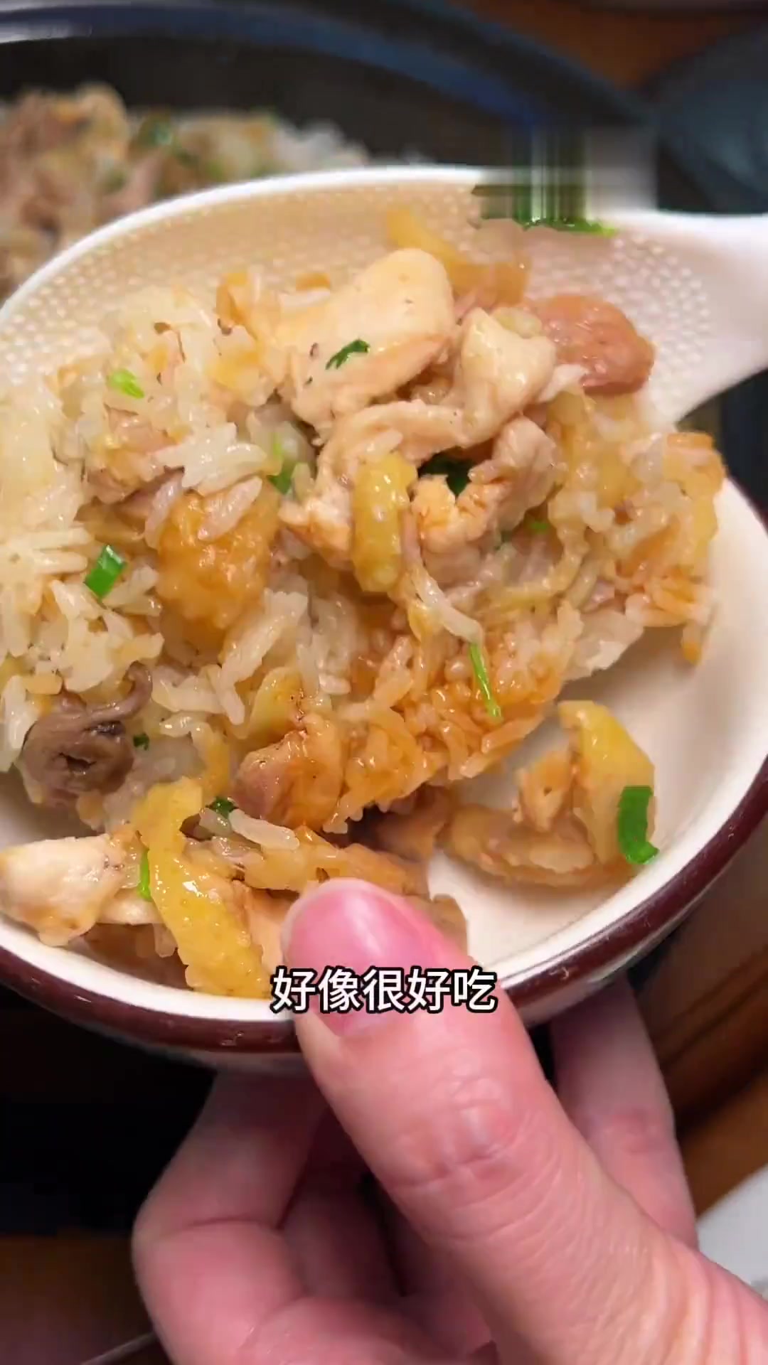 东莞终于找到无骨扇鸡饭还有啫啫水鱼煲
