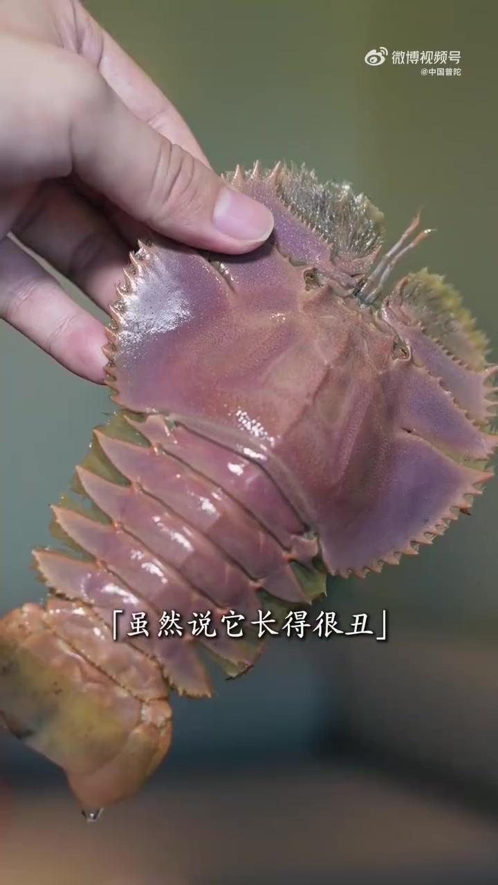 看似不起眼的琵琶虾,实则是隐藏的美味王者!处理时先刷洗干净,水开上汽后放入蒸制。蒸熟后从虾