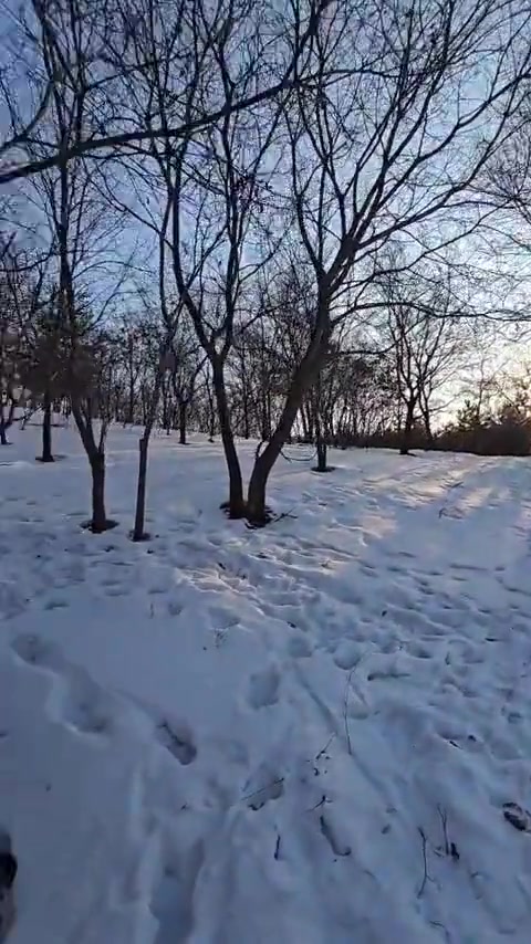 我在鸡西发现一处知道的人不多的山泉水,公开定位