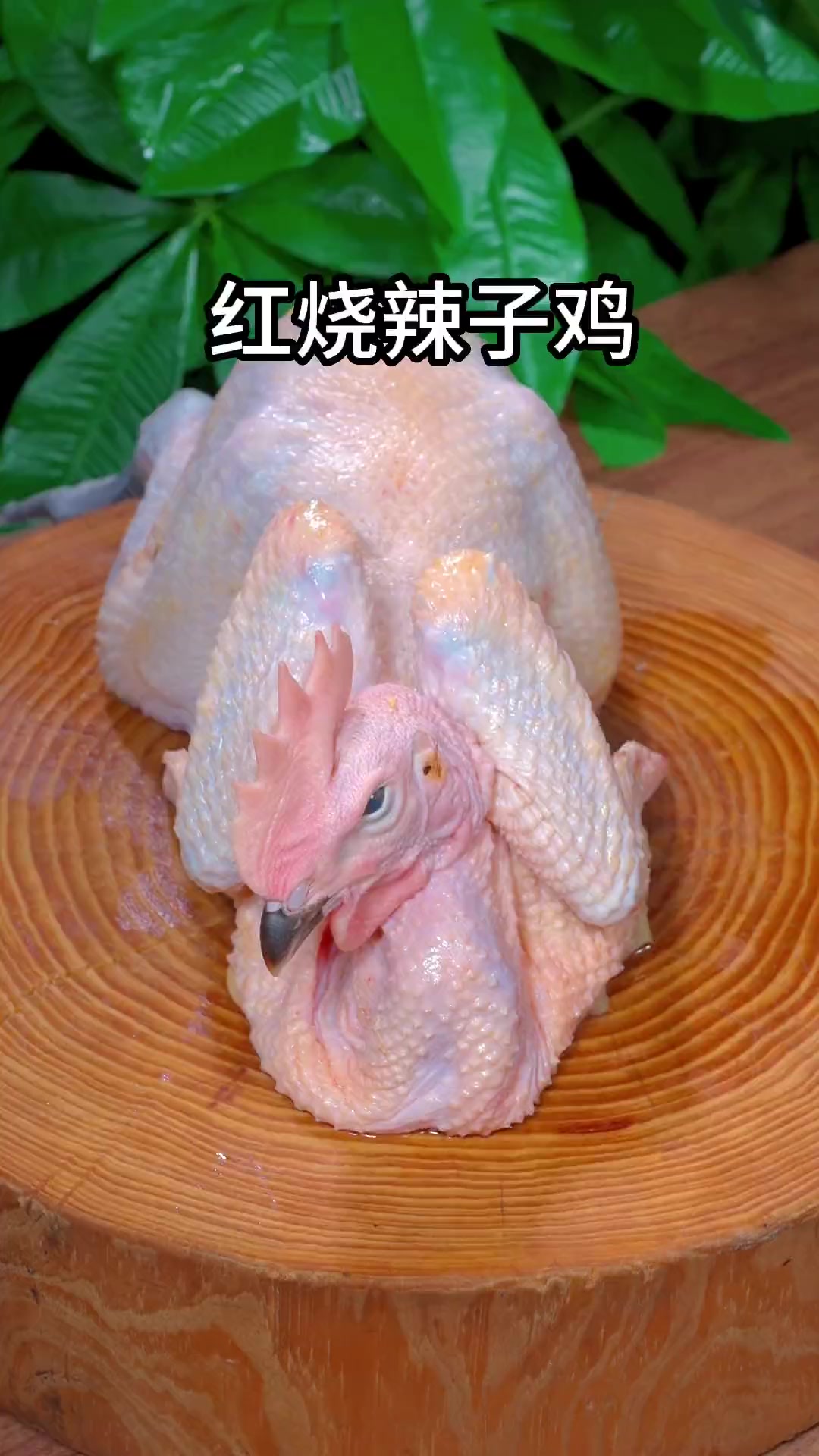 以后家里来客,你就做这个红烧辣子鸡,香辣有味,汤汁还能伴米饭