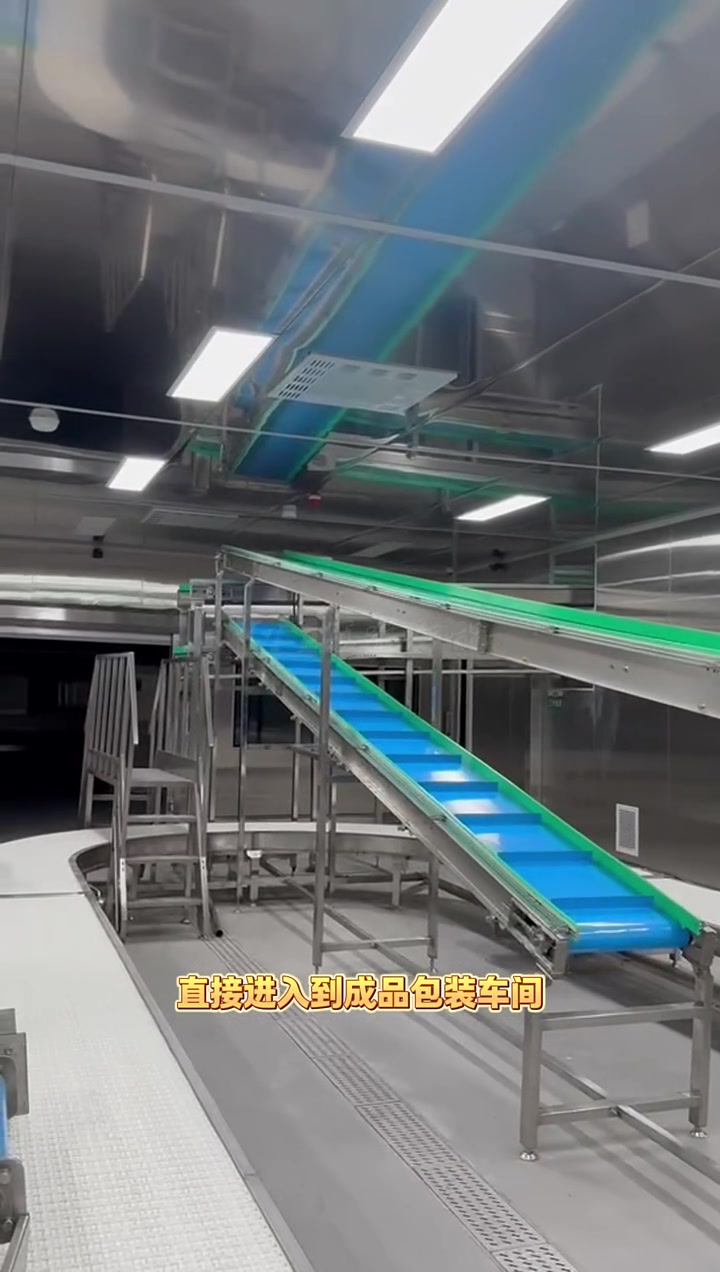 净菜加工流水线装配自动流水线智能生产流水线 输送带生产厂家 这就是我每天的工作