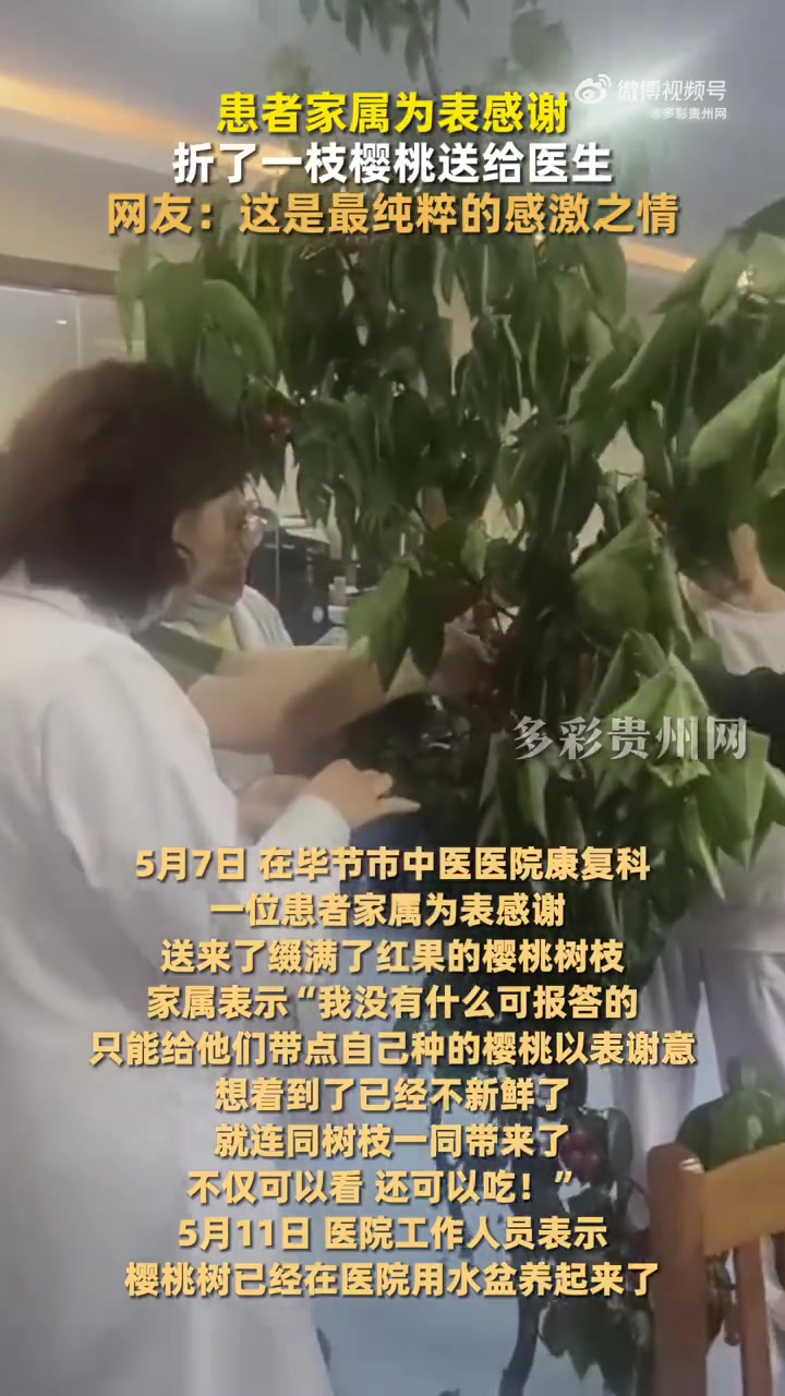 「好暖!贵州毕节患者家属为谢医生,提带果樱桃树枝进诊室」5月7日,贵州毕节。一位患者家属为