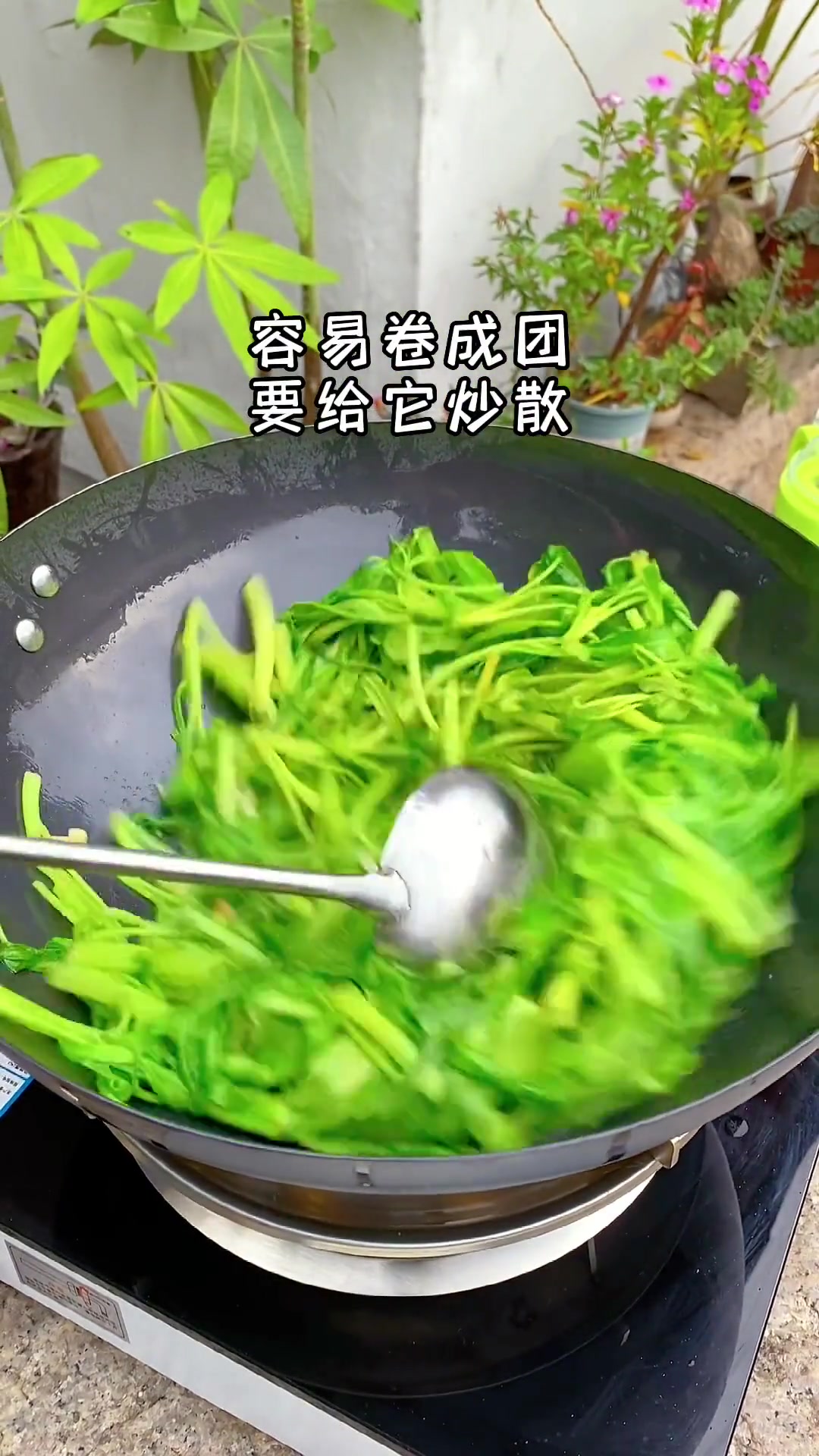 今天炒个空心菜,我们叫做应菜,你们叫什么