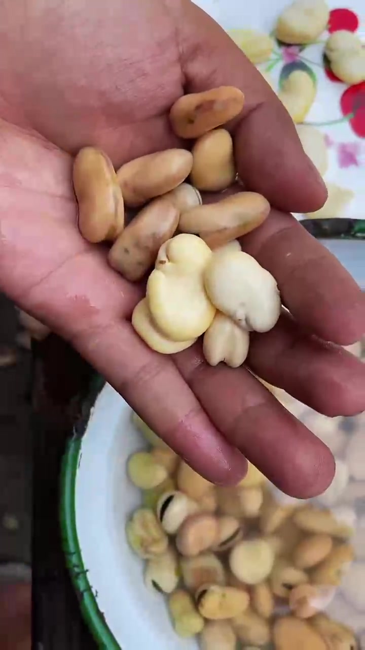 在云南可以吃的「野山青菜」吃过的小伙伴你能用家乡话说出它的名字吗？