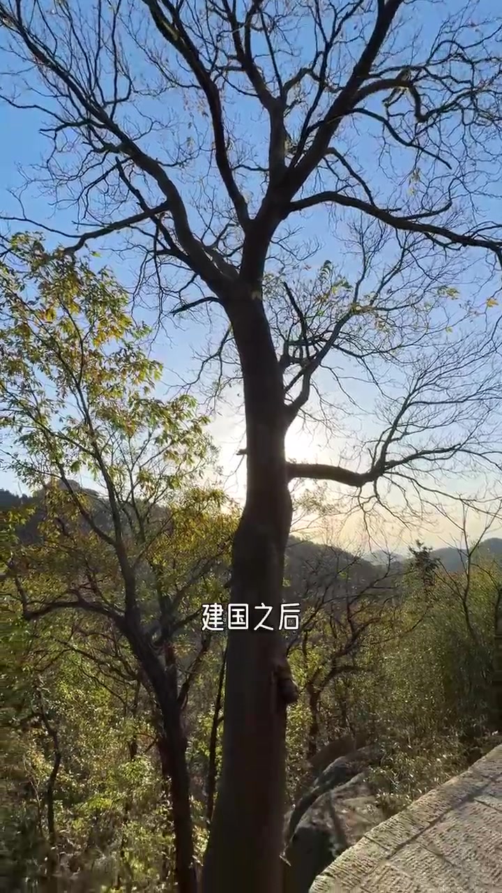 渔村里的《崂山护林人》|,我们小院靠着崂山,春夏秋冬,我们去山间徒步观海,采拾蘑菇挖野菜,