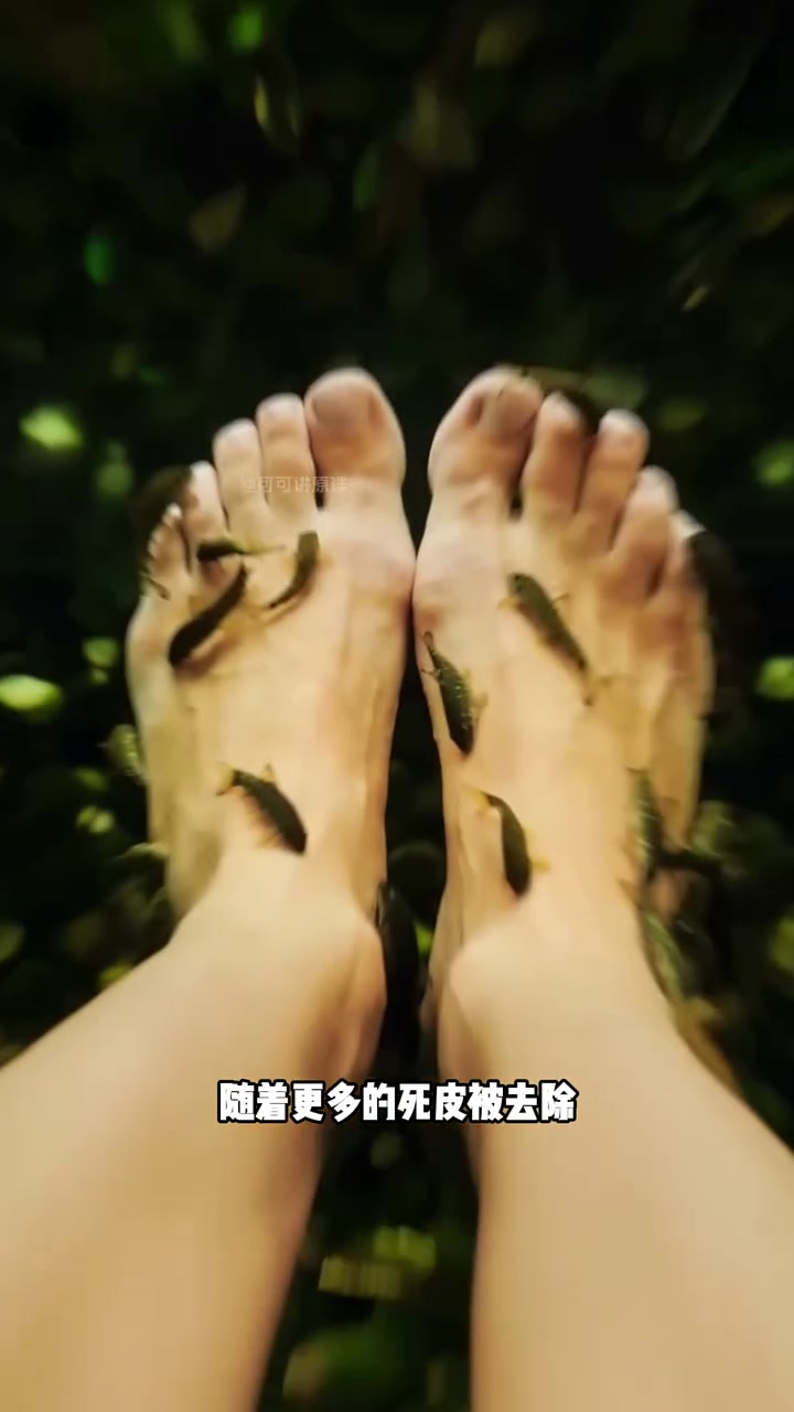 神奇的鱼疗是怎么养身的!