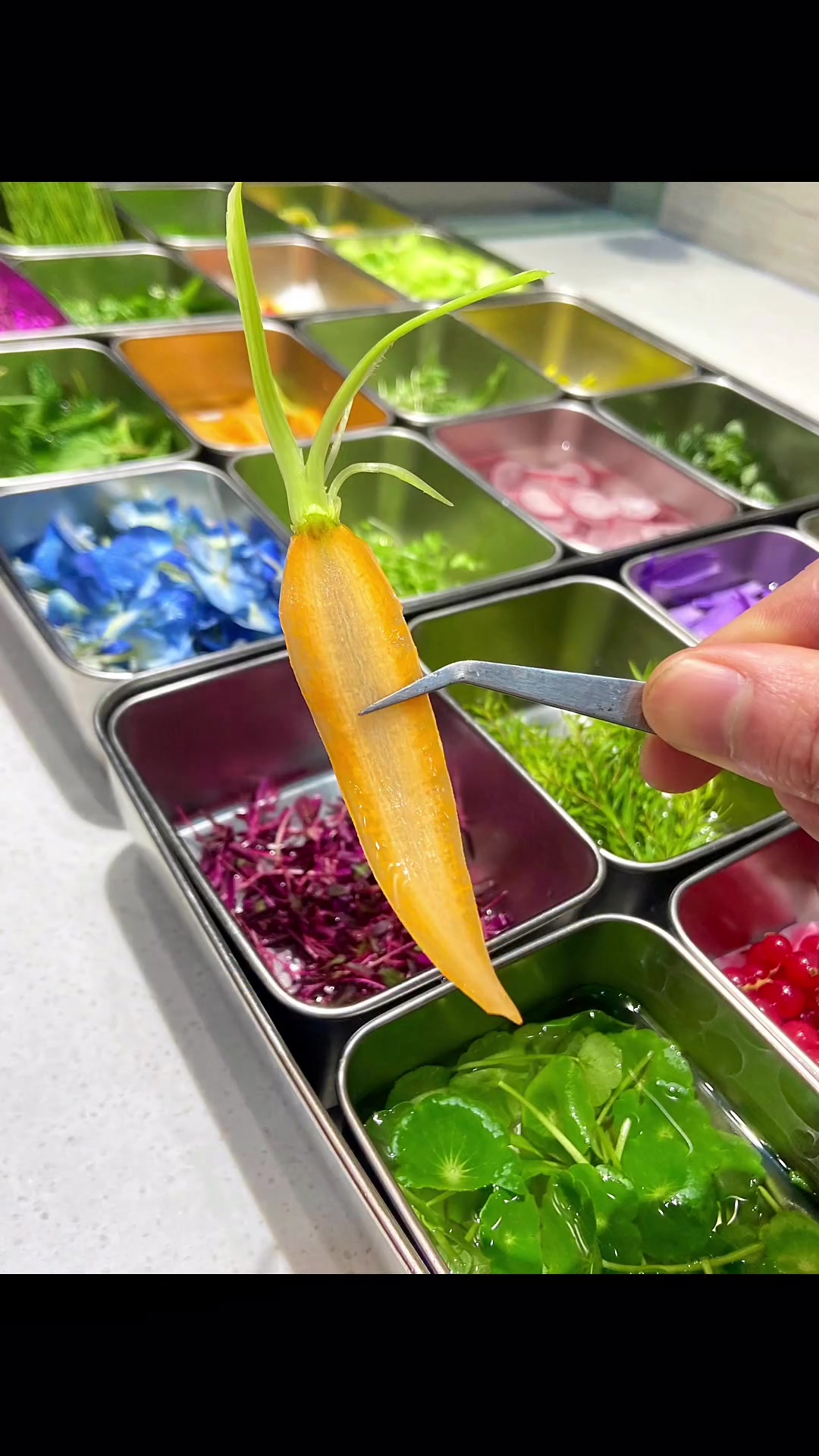 冷菜装盘花草图片来了!