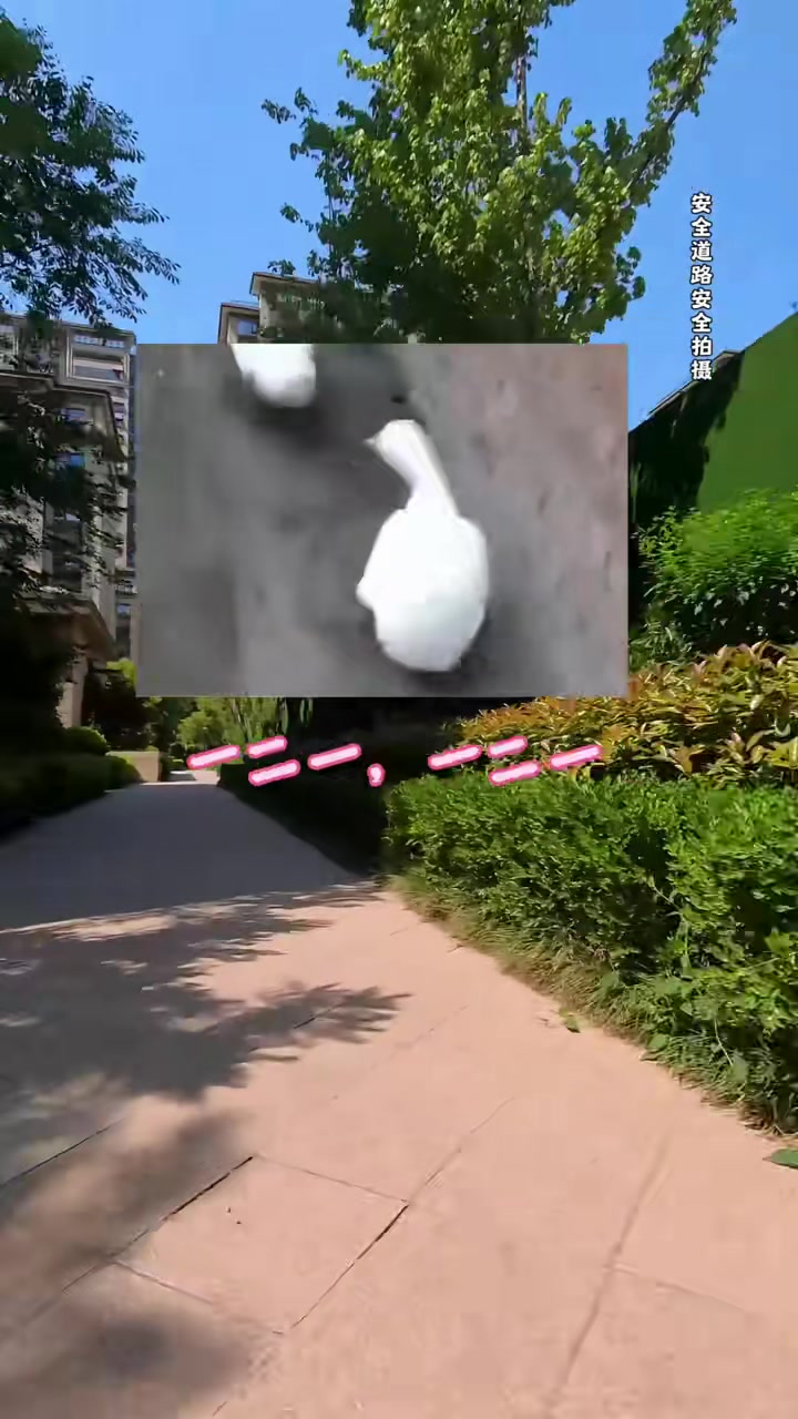 记录人类幼崽第一视角,我不是来玩的,我是来买东西的
