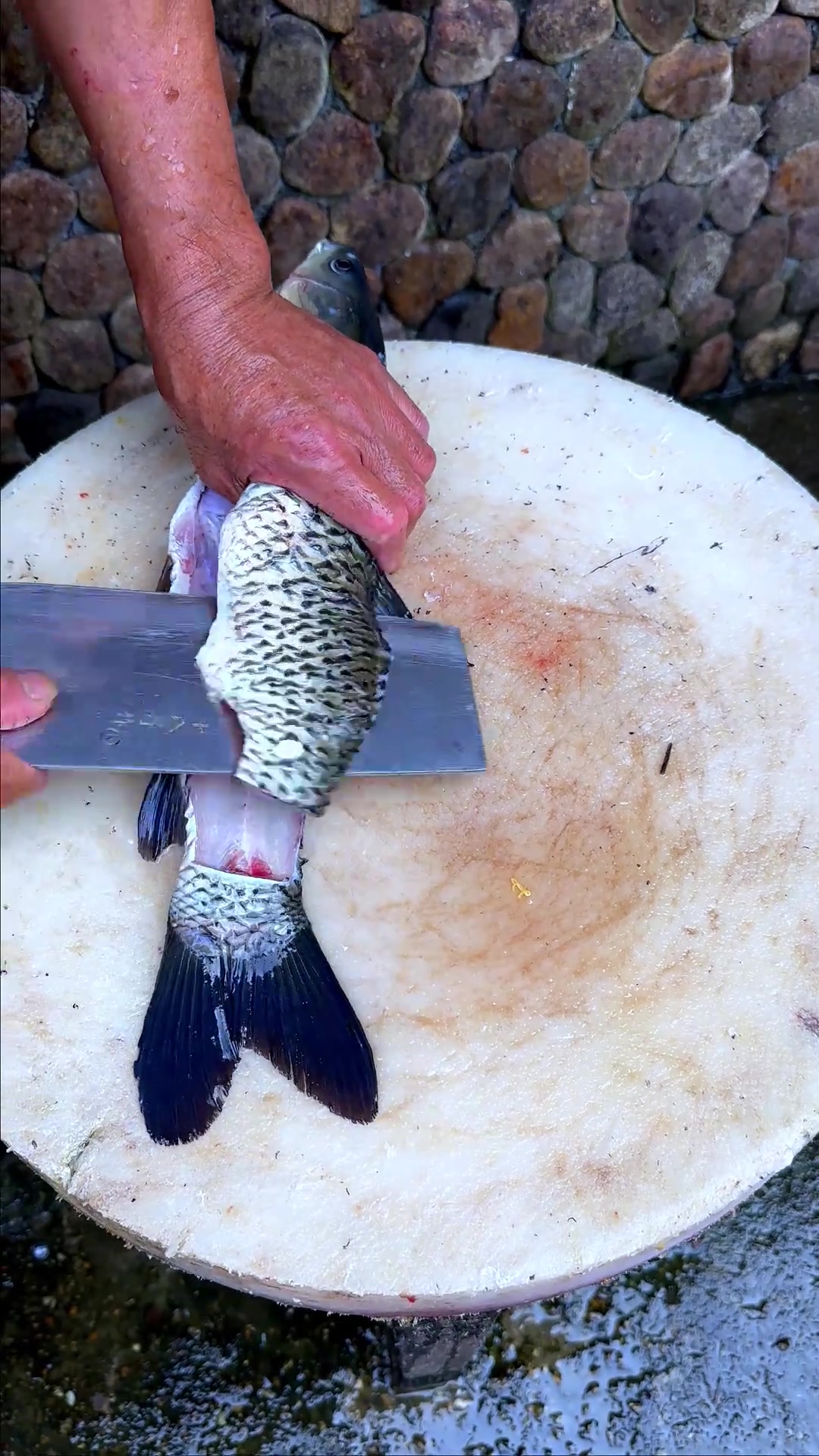 秋天必须来钱江源看乌桕红叶,又可以吃上开化清水鱼了