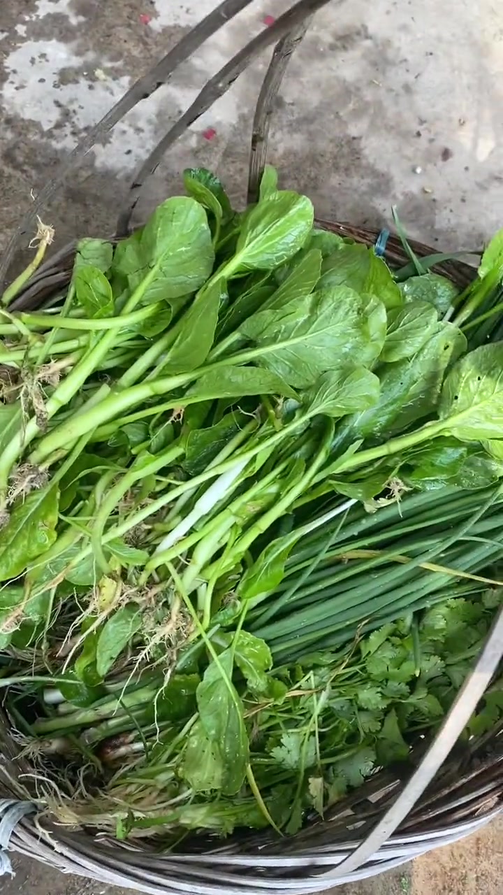 今天年例汤鸡去拜老爷和佰公了希望在2025年家里人健健康康平平安安的这也是我们这边山底的习