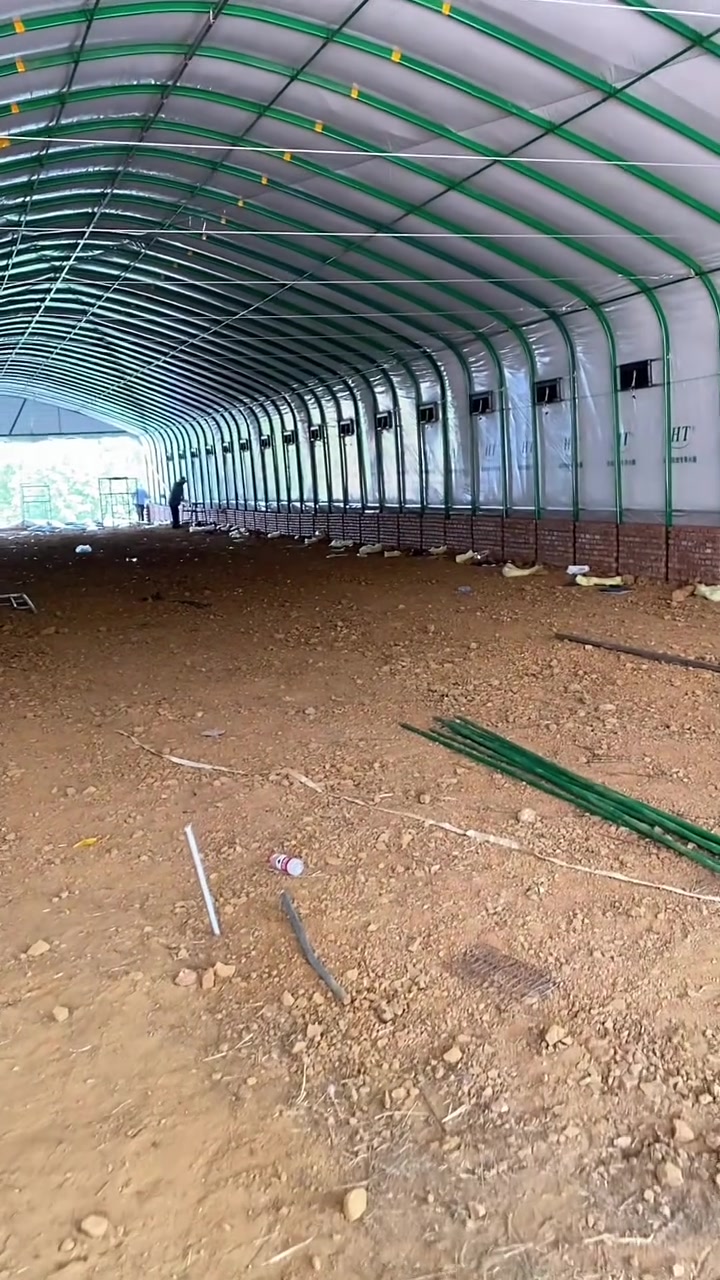 养殖大棚通风换气养鸡蛋鸡大棚