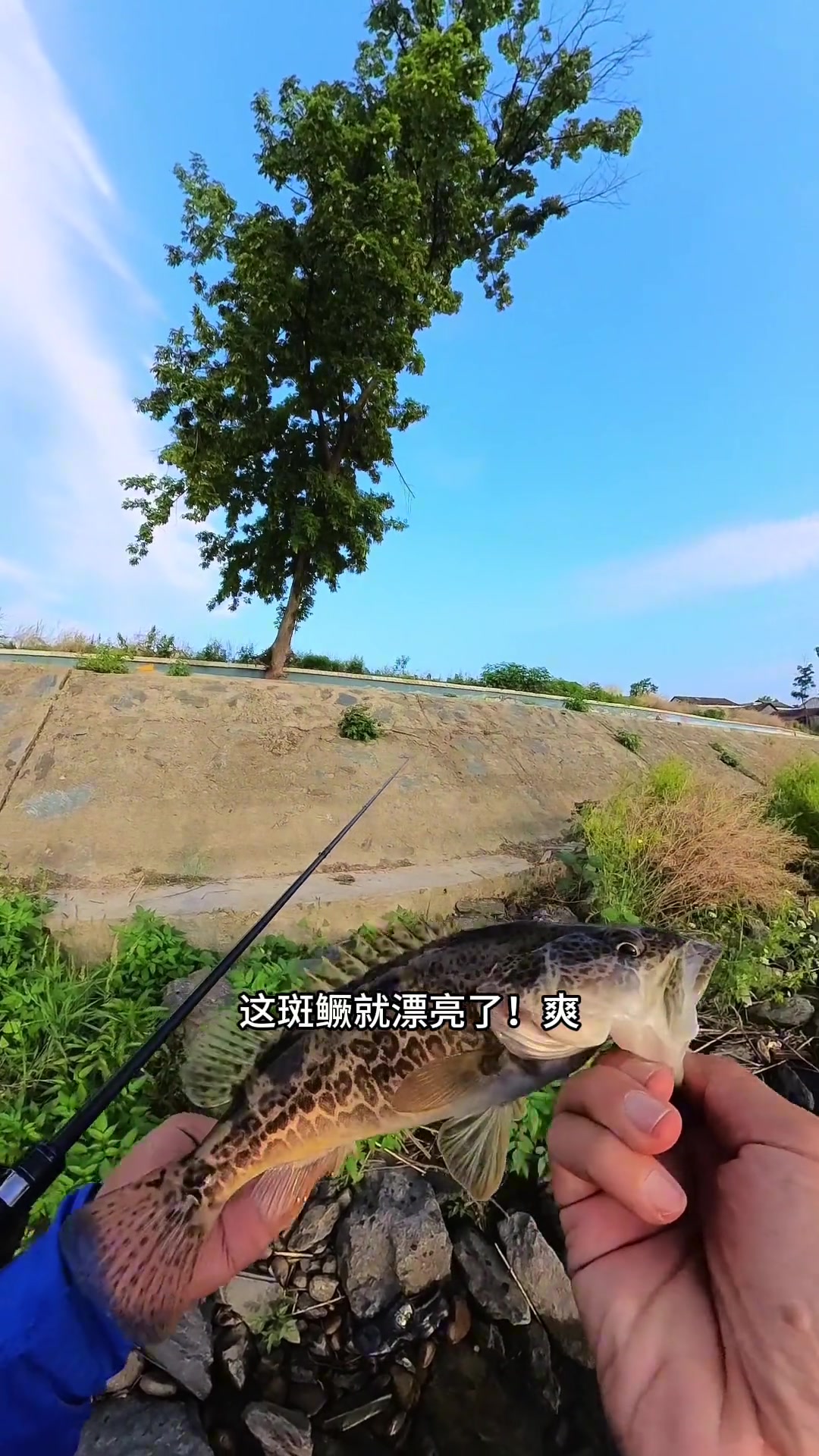 路亚鳜鱼三板斧，新手入门教程，轻松掌握淡水鱼技巧