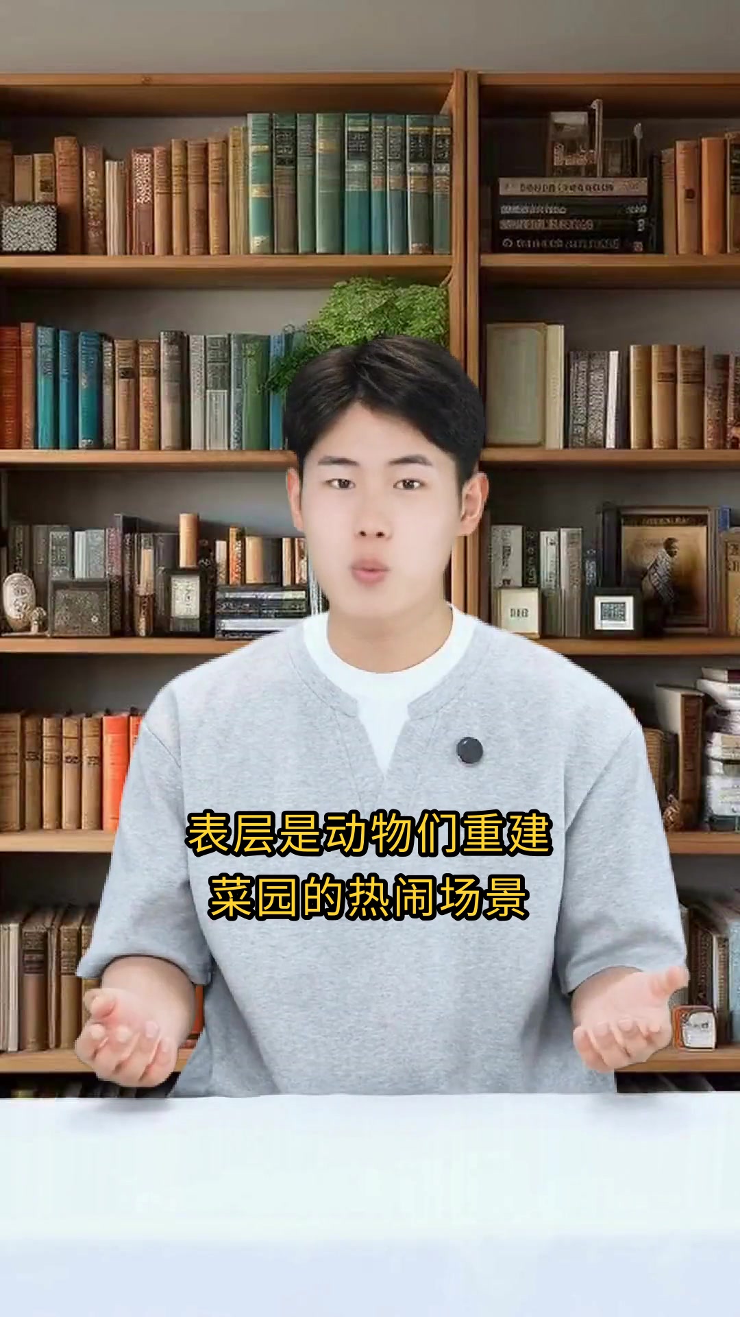 兔子先生的菜园子治愈心灵的生命寓言