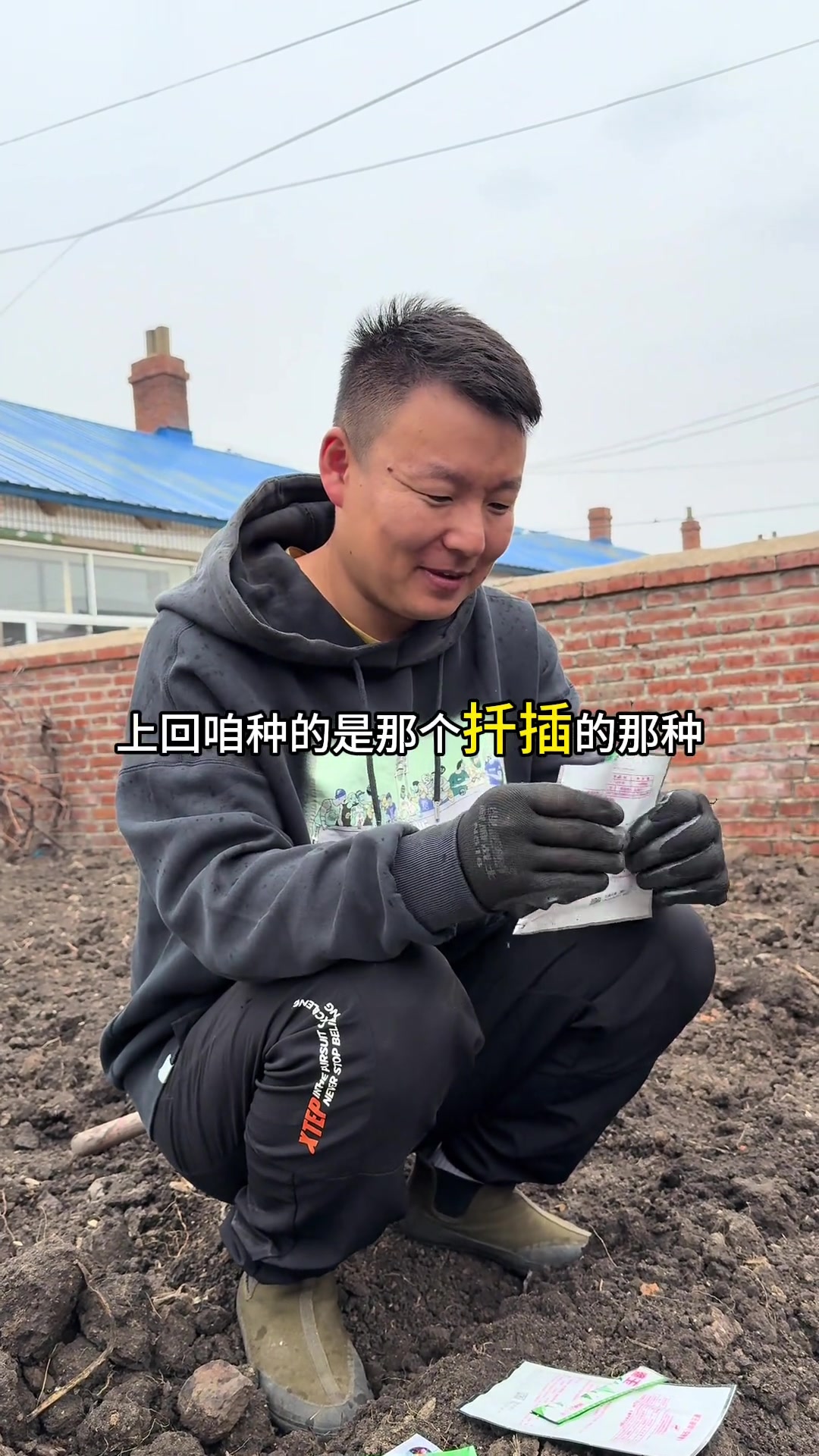 东北老铁挑战种植空心菜,黑土地能否培育南方小青菜,入夏种植实验