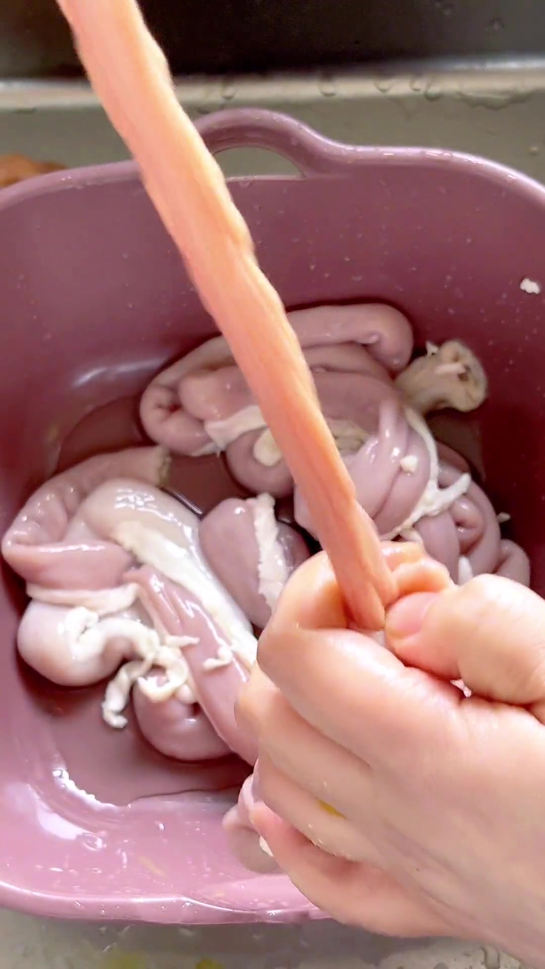 把莲子塞到小肠里面,就成了一道福建人特别爱喝的小肠莲子汤,小肠的Q加上莲子的软糯,真是太好