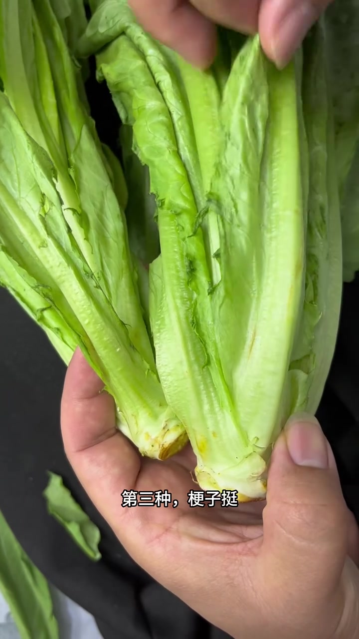 油麦菜怎么挑?怎么挑选好吃的油麦菜?油麦菜和莴苣的区别?