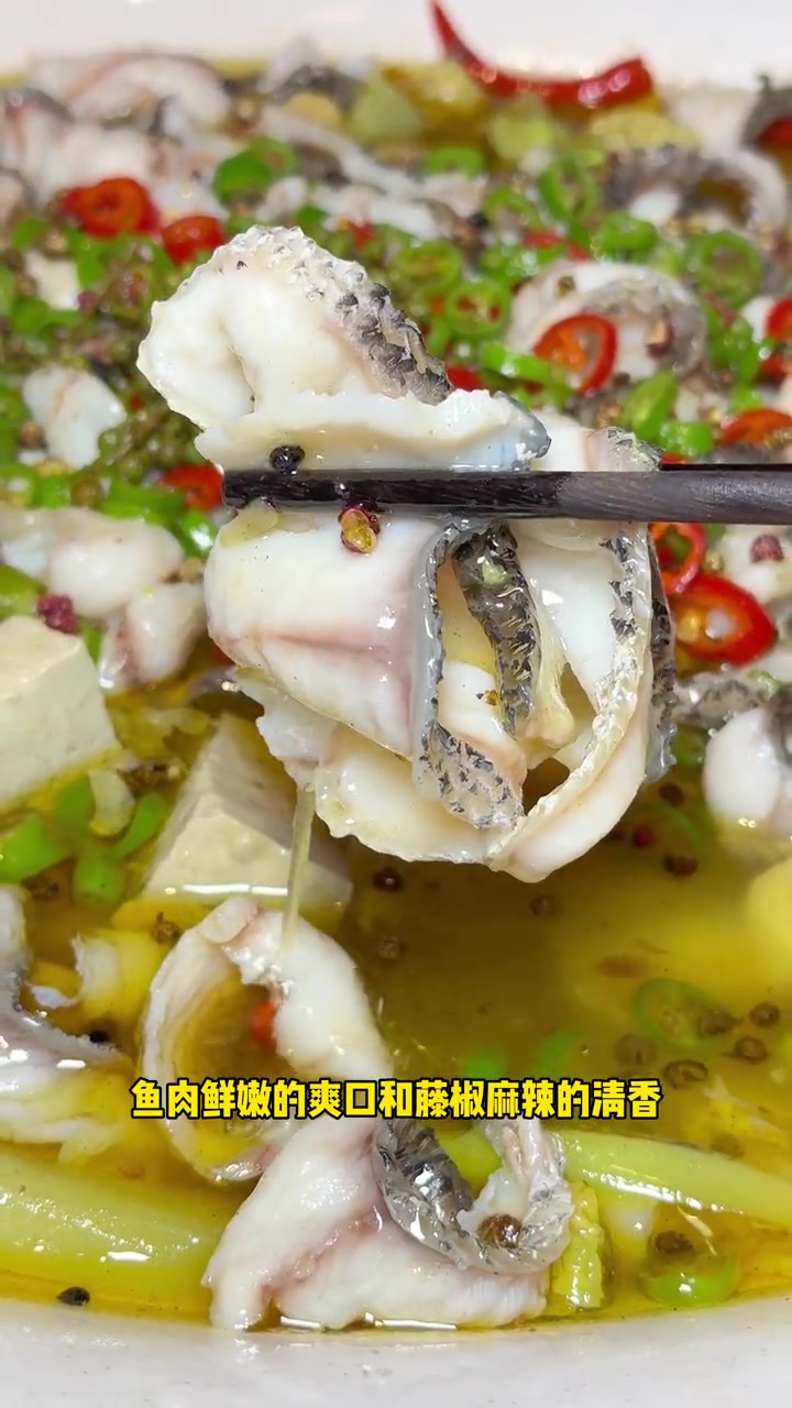 XXXL的椒麻豆花鱼真的忒香了!