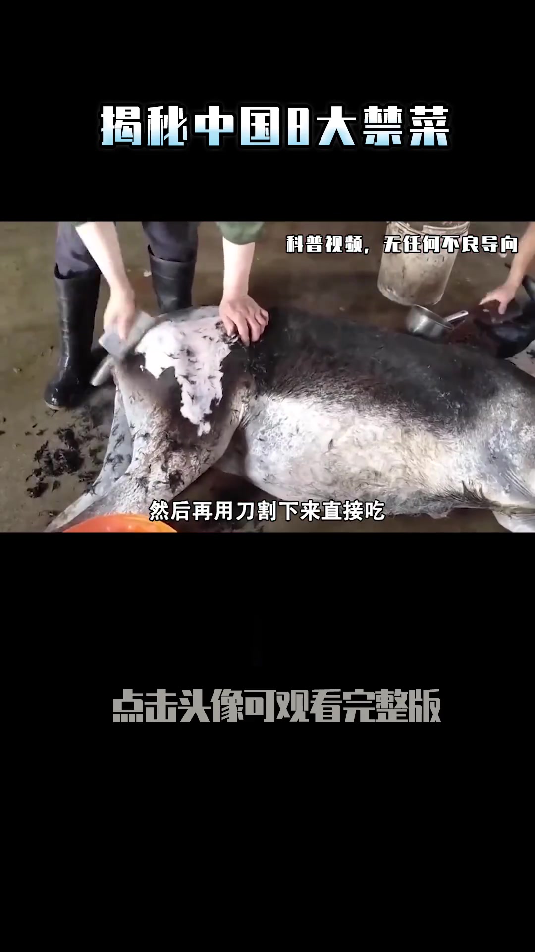 中国八大恐怖禁菜有啥?油泼猴头、浇驴肉很残忍