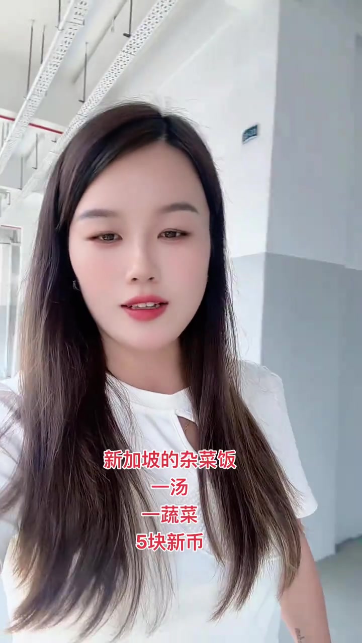 新加坡普通人的工作餐,我只吃得起两个菜