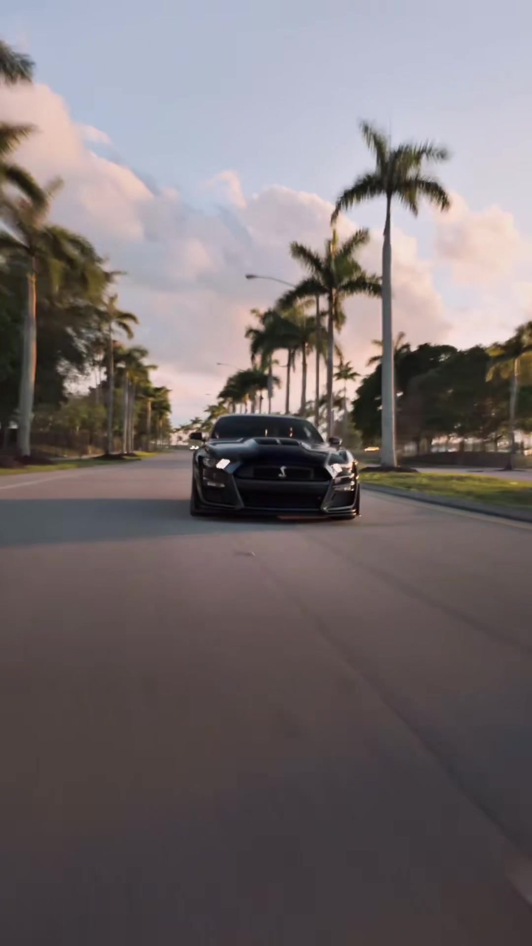 所有的伟大,都始于不要脸的开始 谢尔比gt500