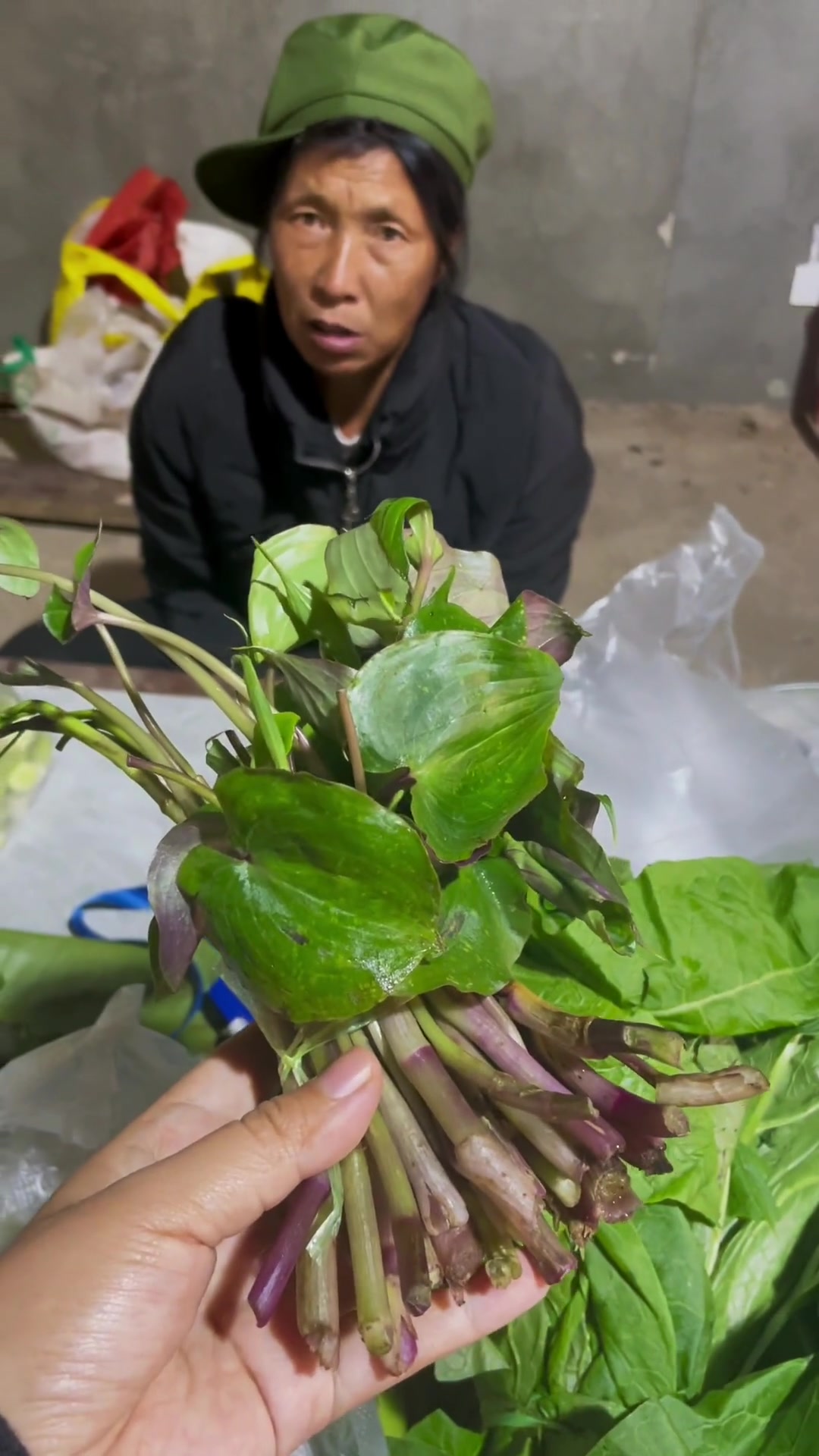 带你认识云南的20种野菜，你吃过几种？