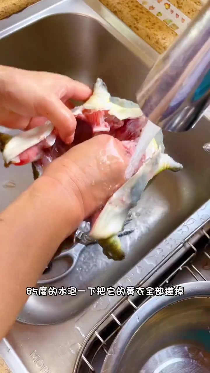 清蒸甲鱼贴秋膘