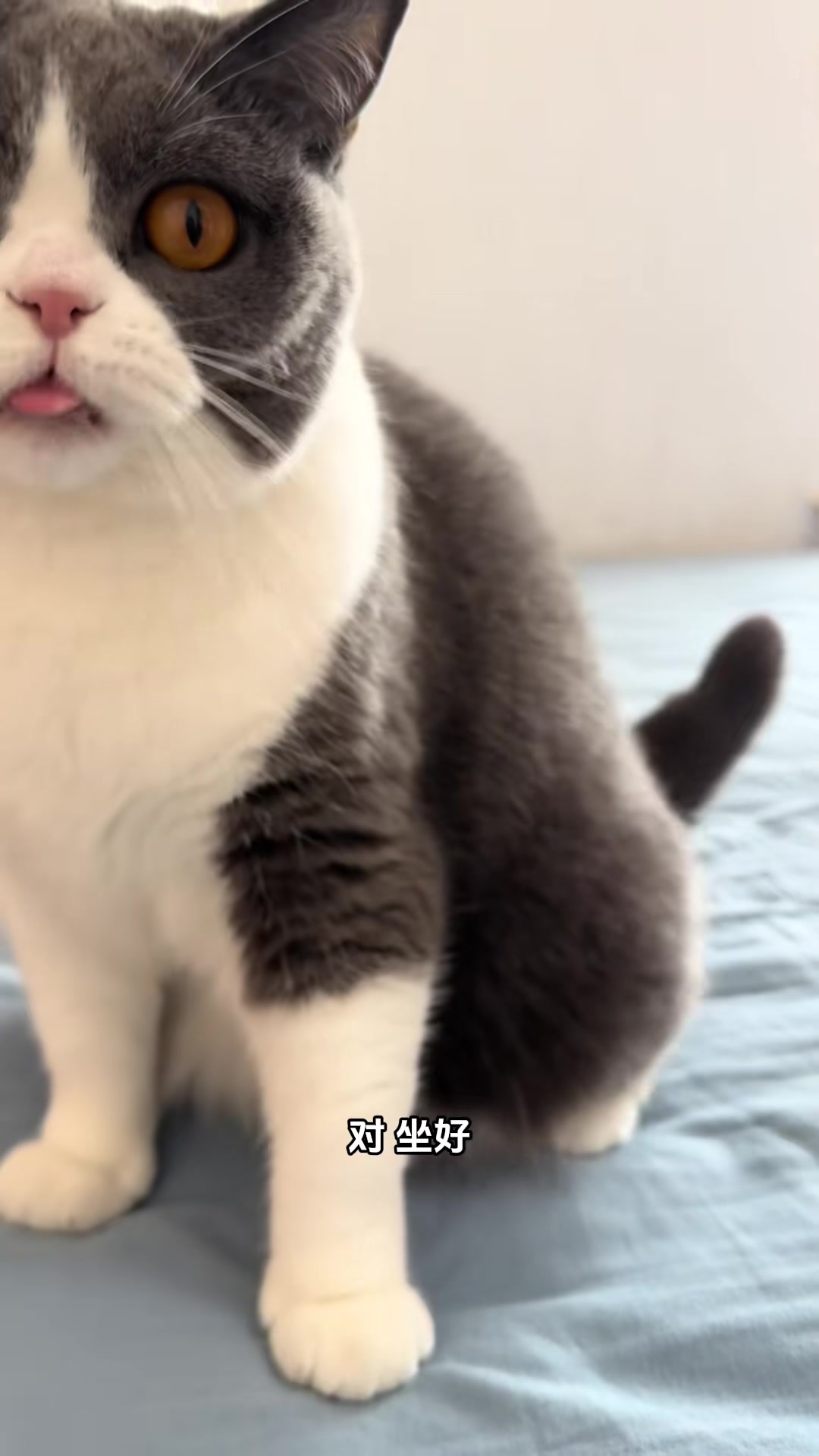 泡芙和妈妈天下第一好,万物可爱