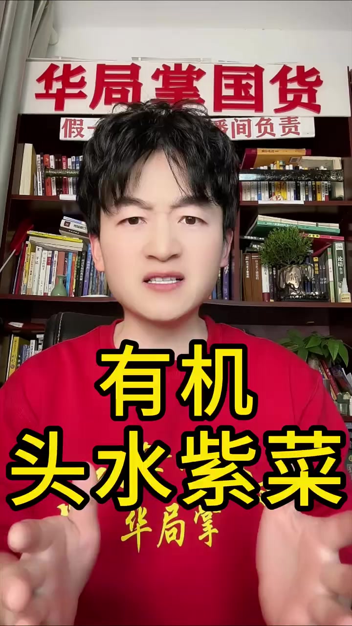 有机头水紫菜,手工采摘自然晾晒,干净无杂营养丰富