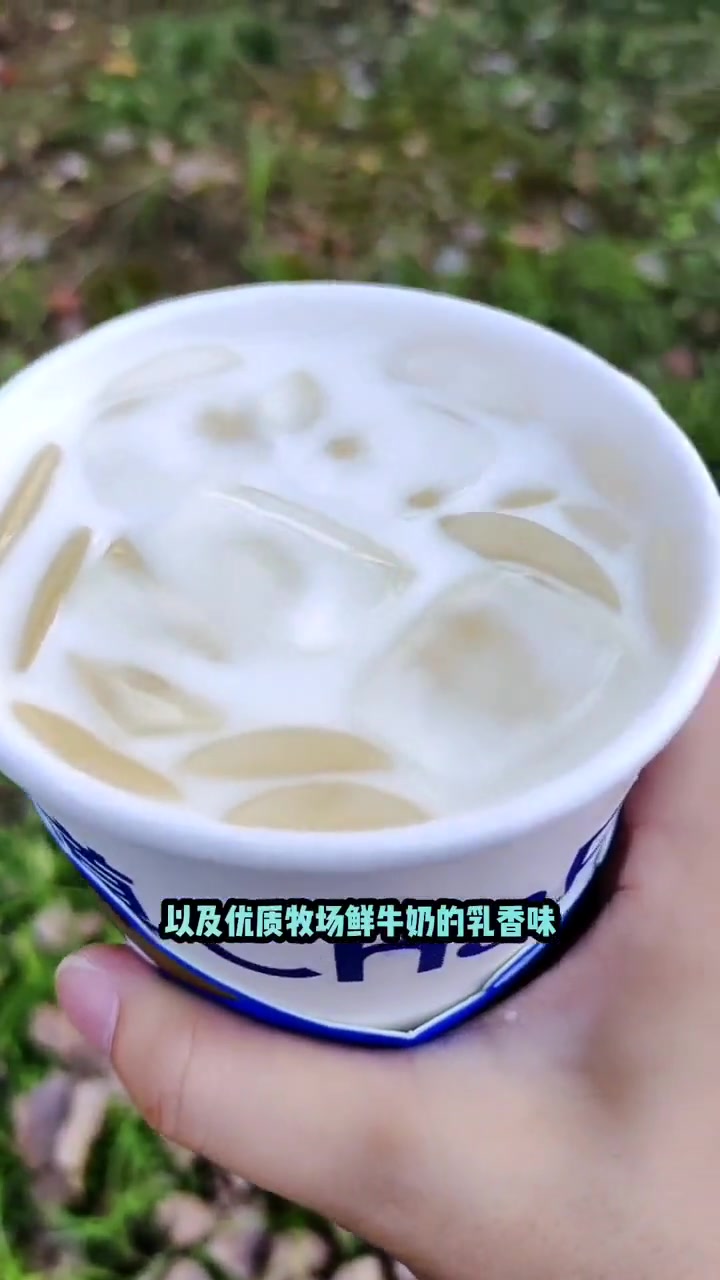 喝奶茶的快乐,谁懂呀?