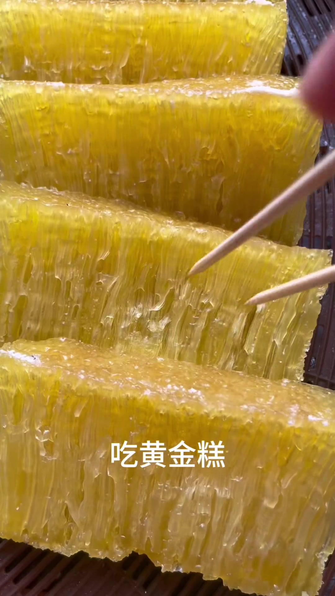 广东早餐黄金糕红豆糕炸茄盒小笼包鲜蒸饺南瓜饼炸胡椒肠糯米烧卖芝麻饼