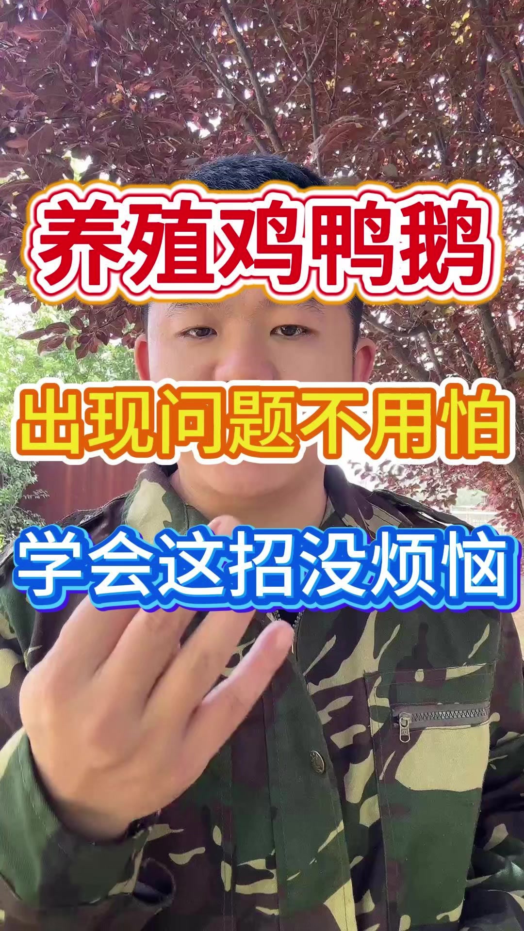 养殖鸡鸭鹅出现问题不用怕